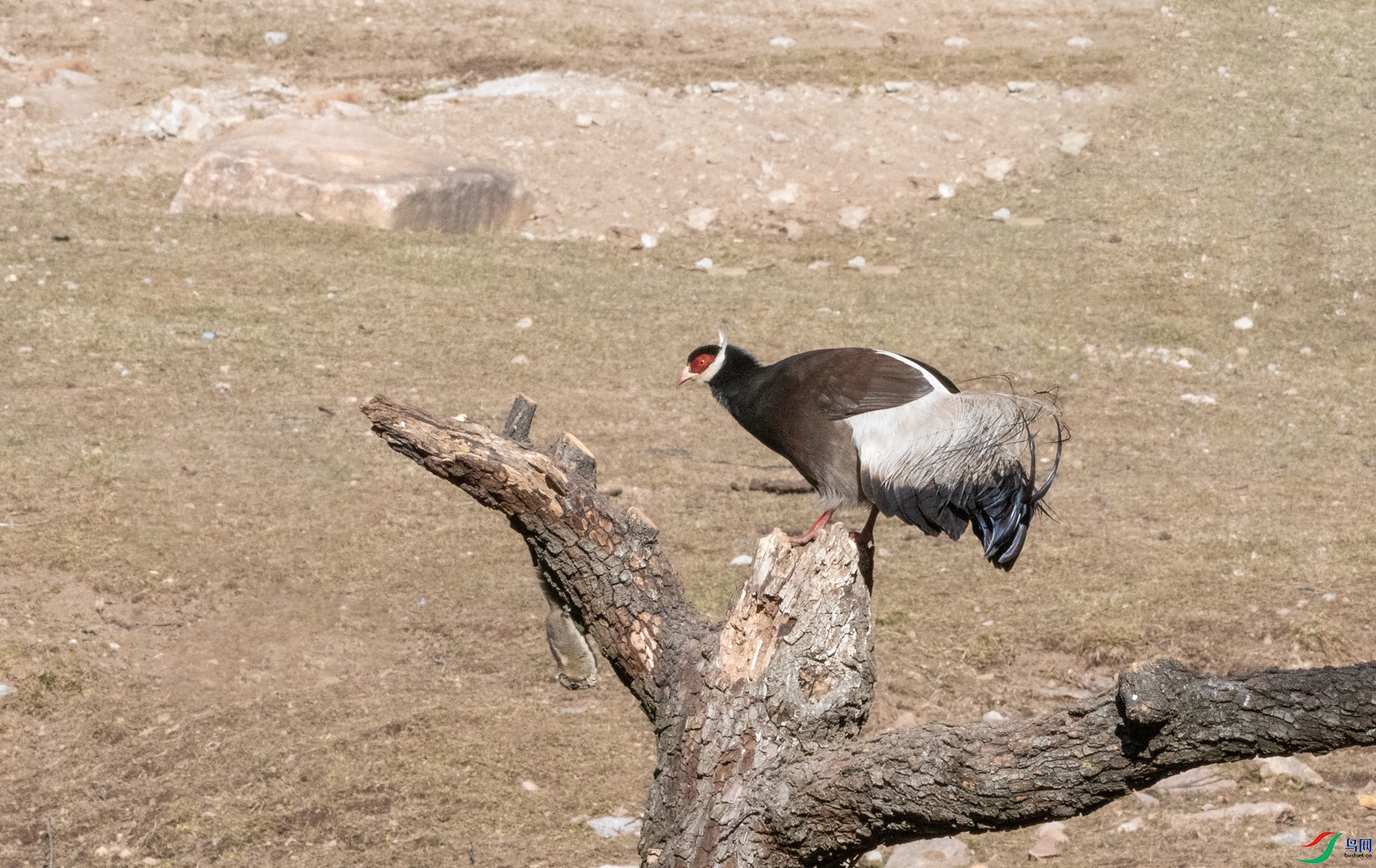 DSC_4389 ����.jpg