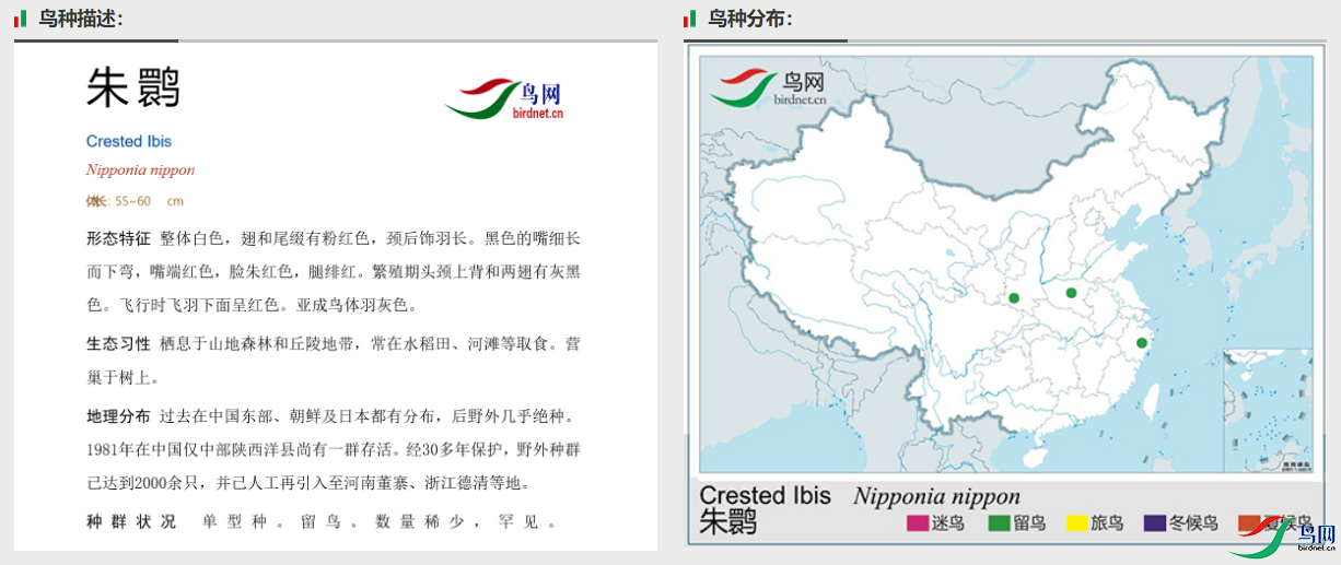 1126cd81104029ab7c377404469eda0.png
