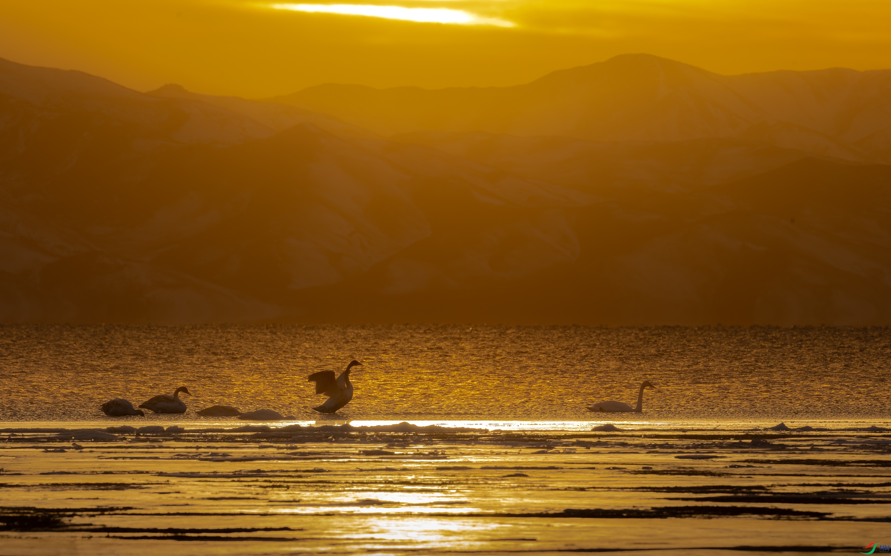 A15I8200-����ǿ-NR ����.jpg