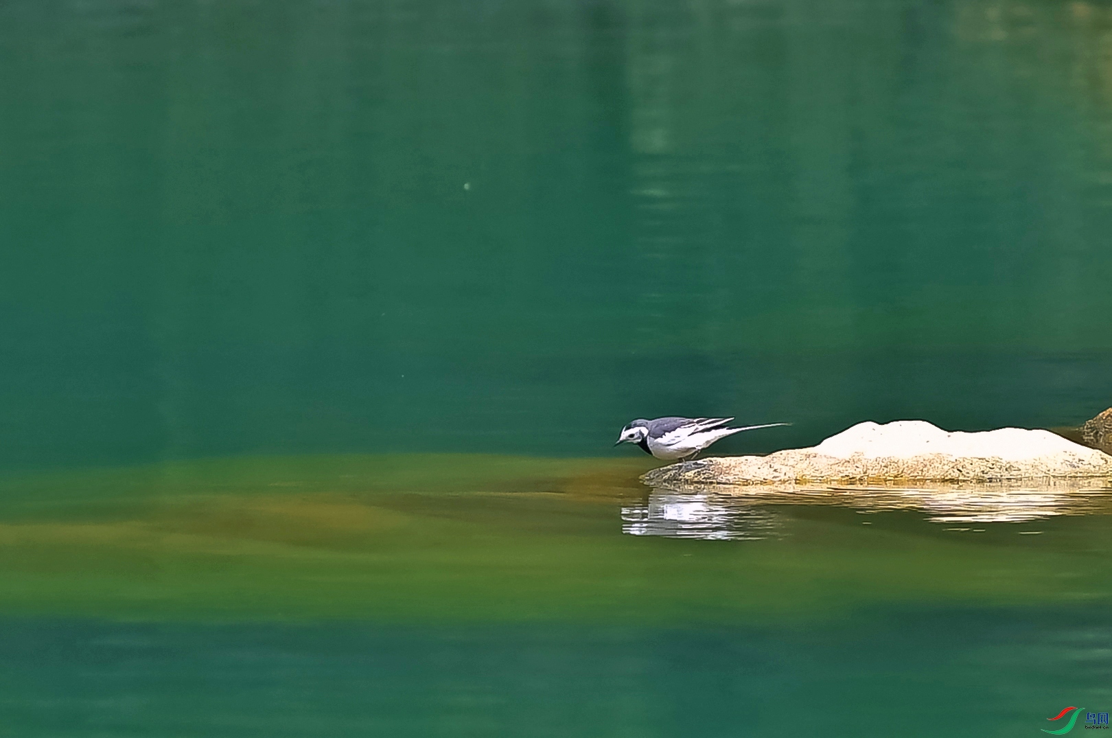 DSC_5277.JPG