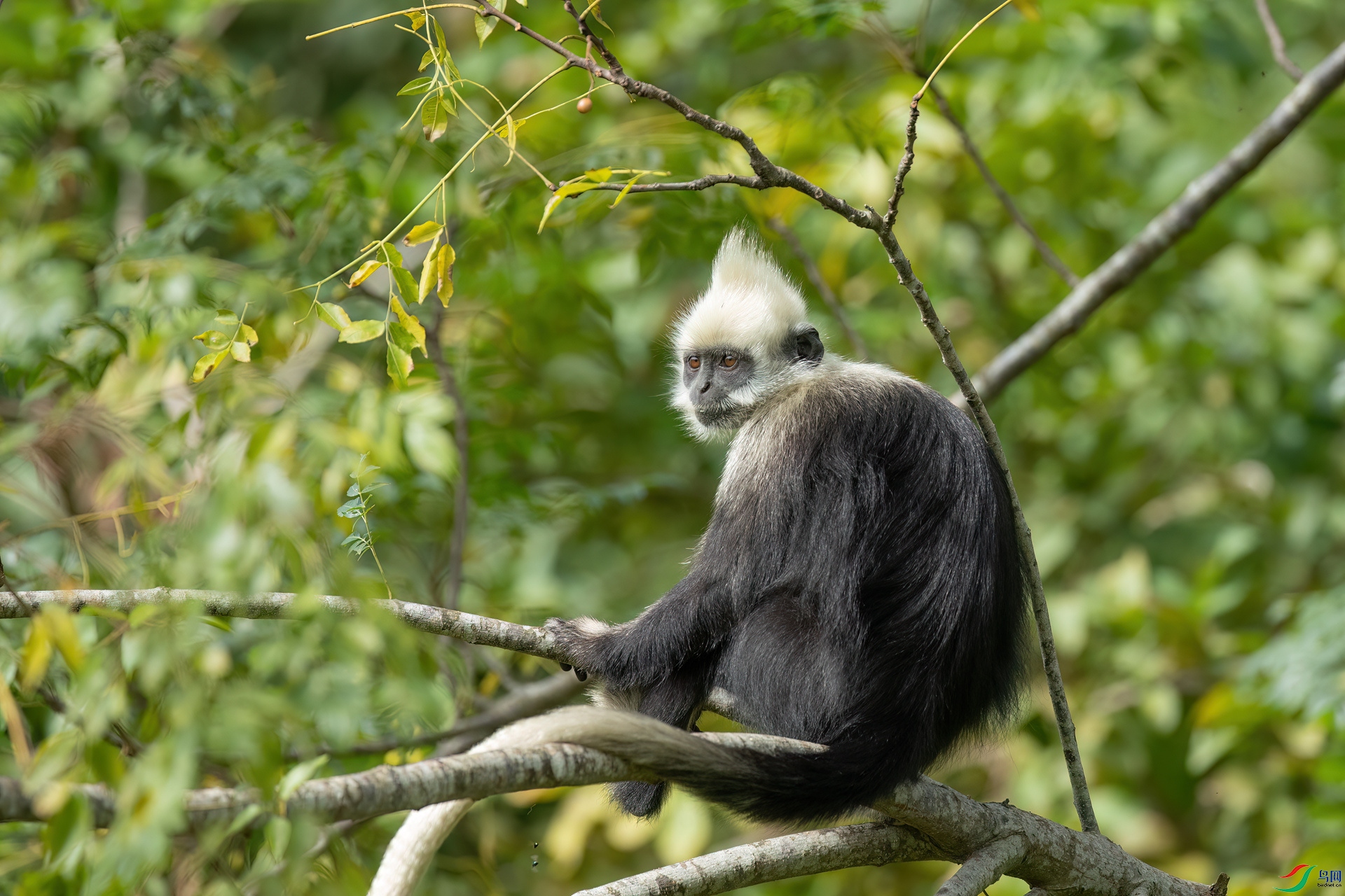 B86I4336 _����.jpg