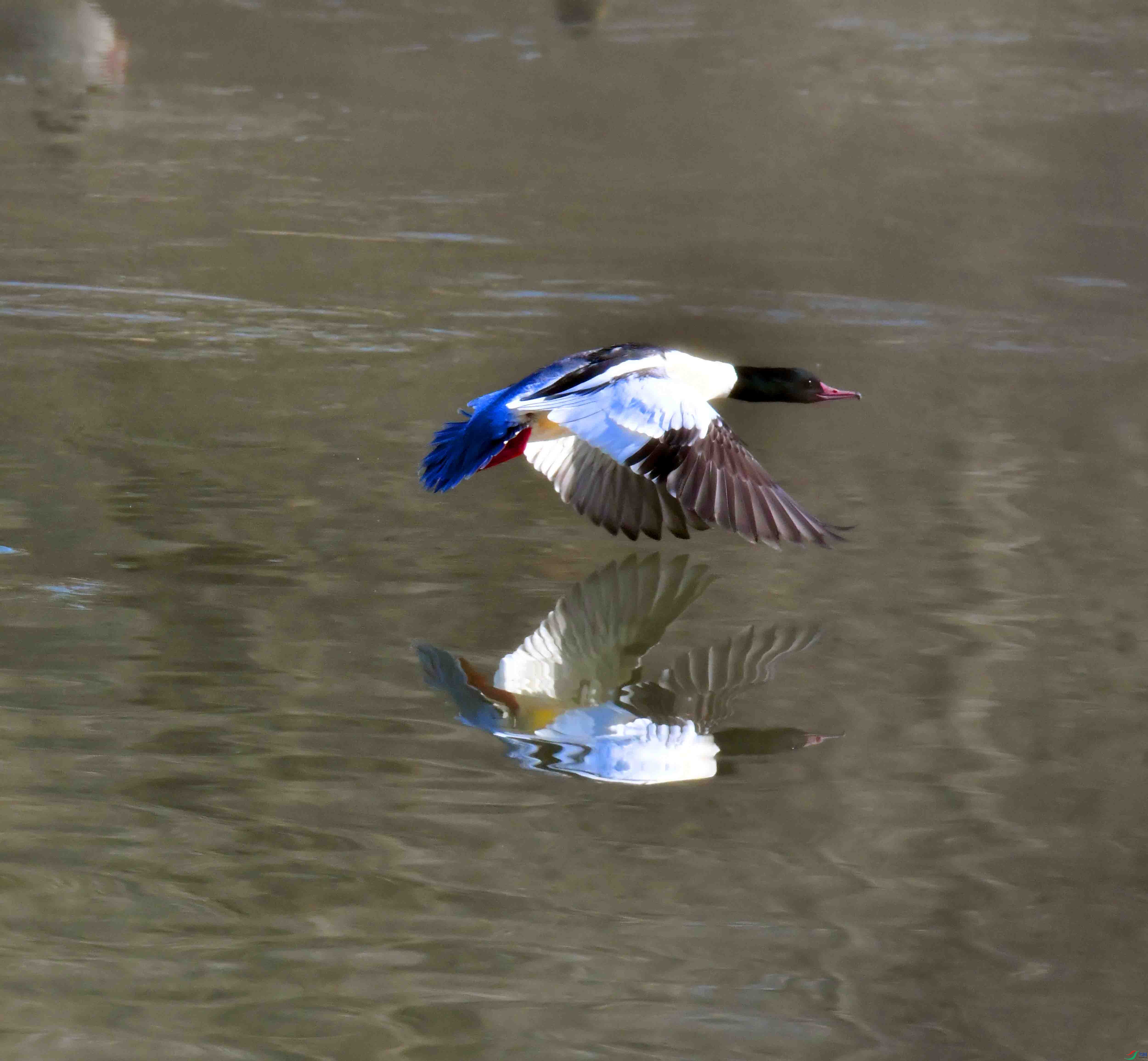 DSC_9209.JPG