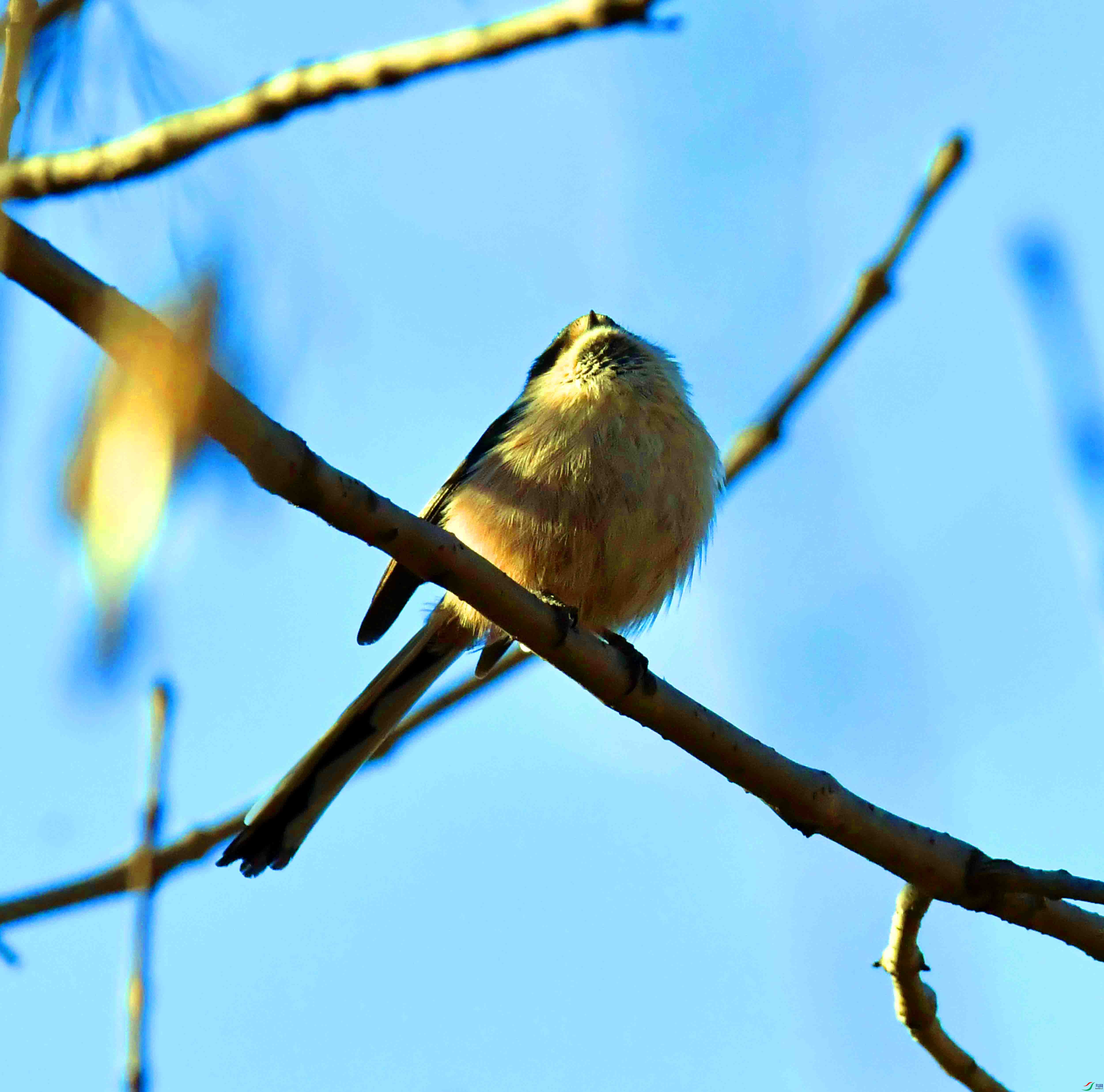 DSC_0490.JPG
