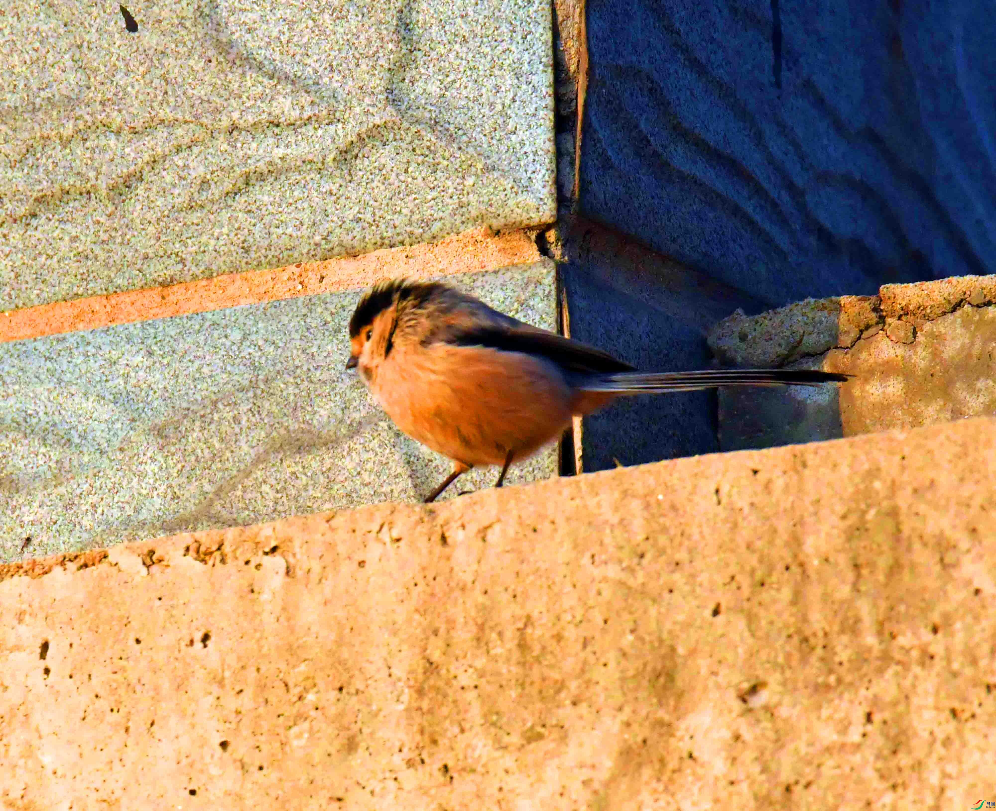 DSC_3970.JPG