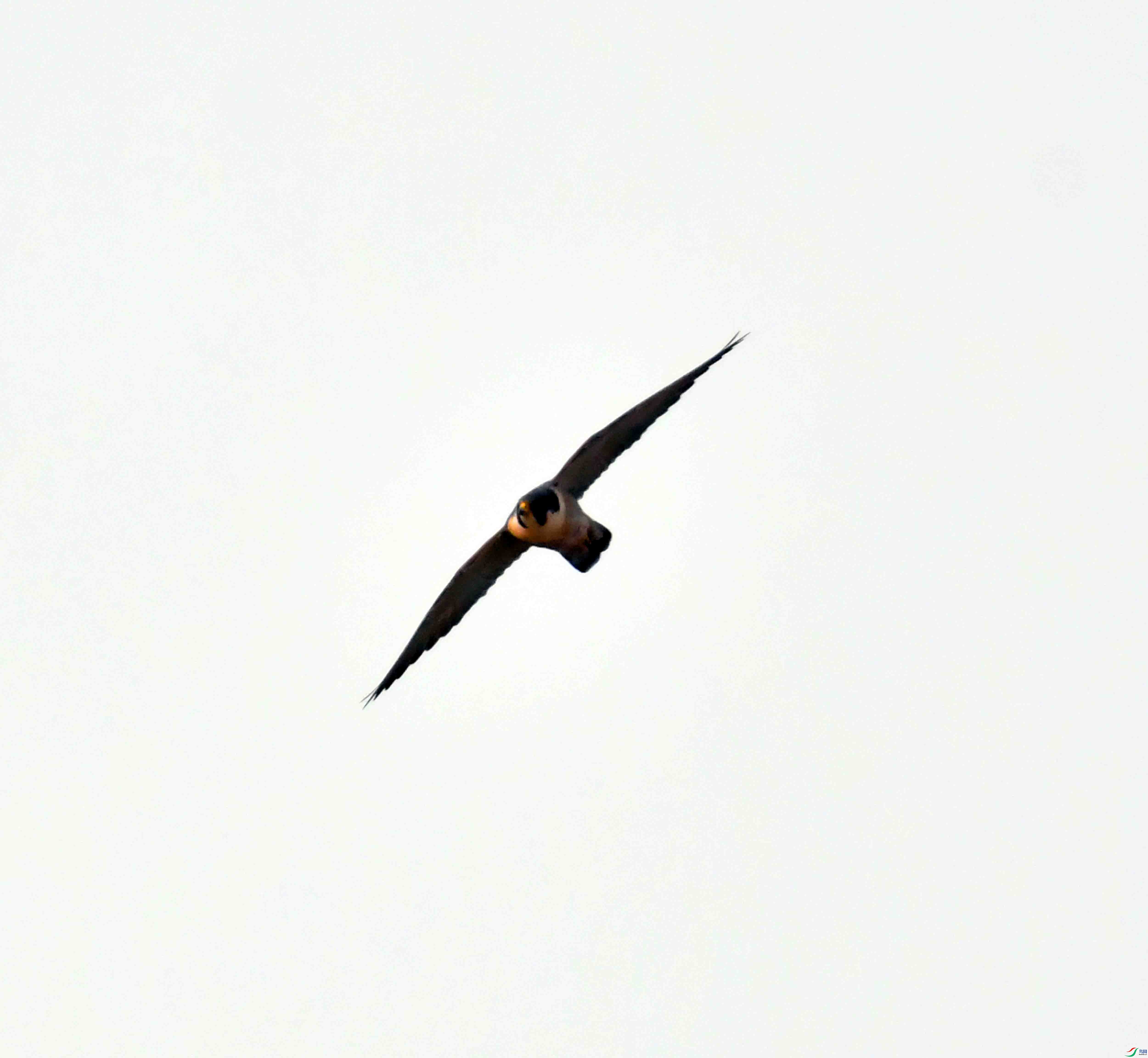DSC_0679.JPG