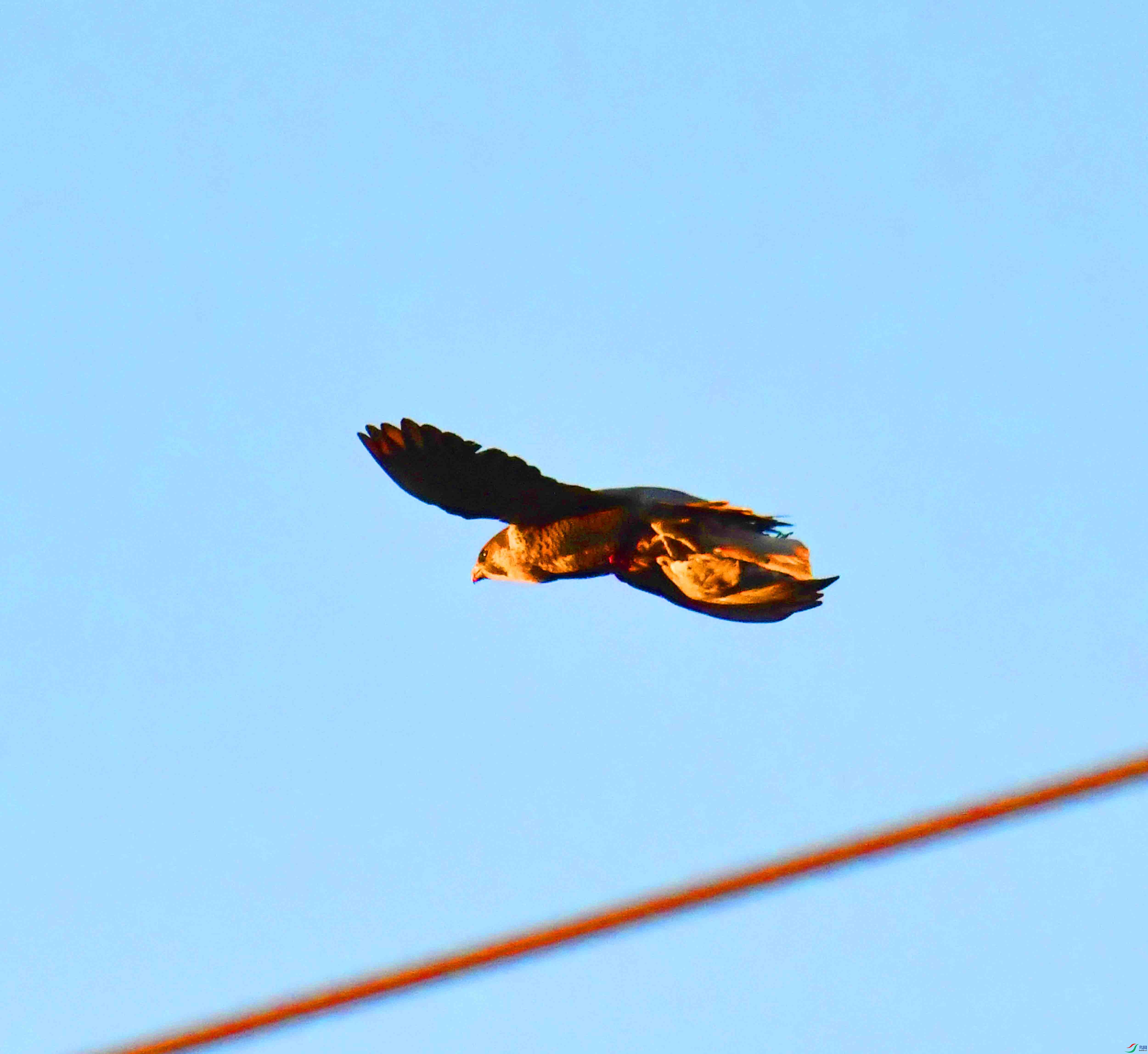 DSC_1121.JPG
