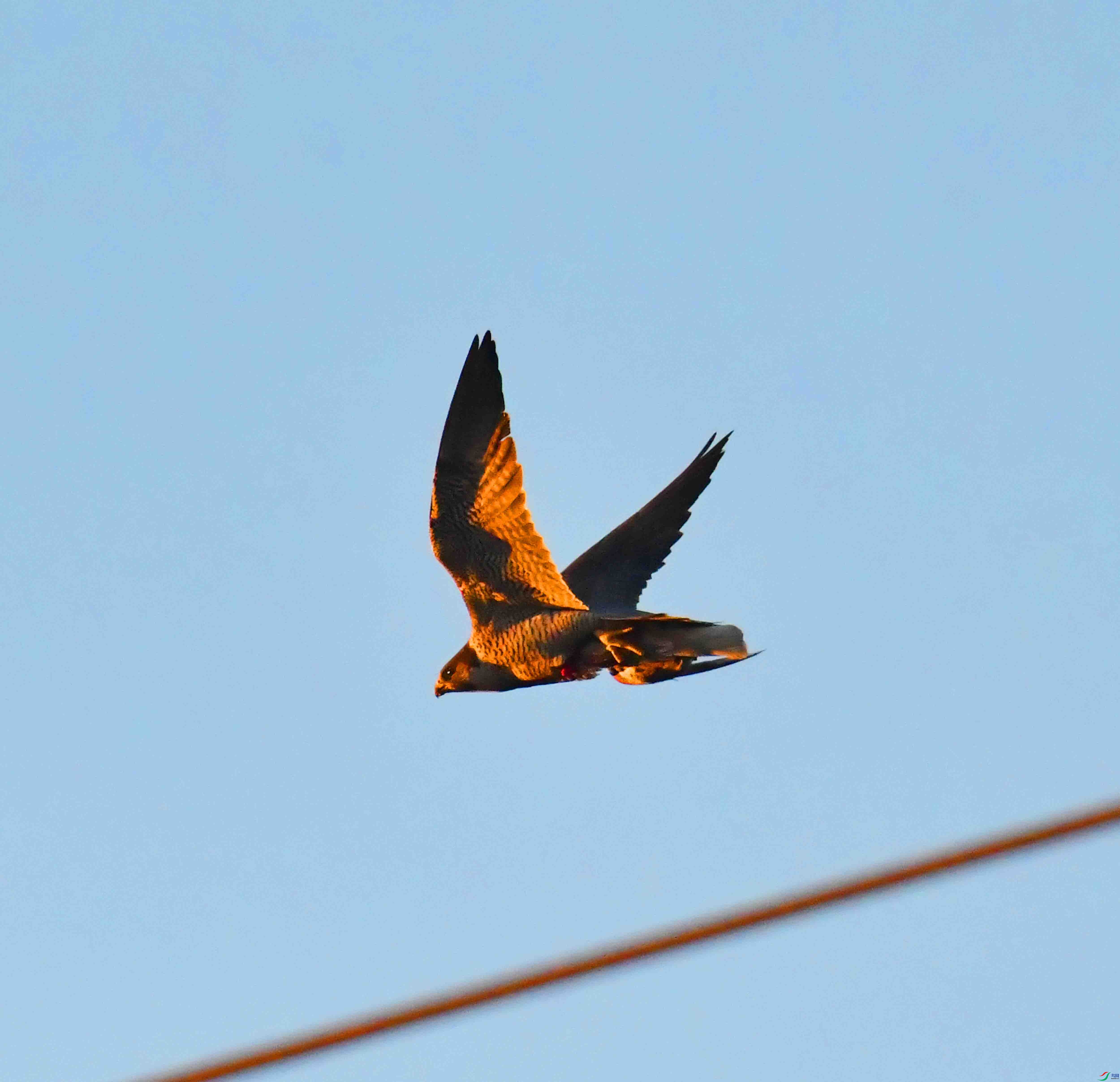 DSC_1119.JPG