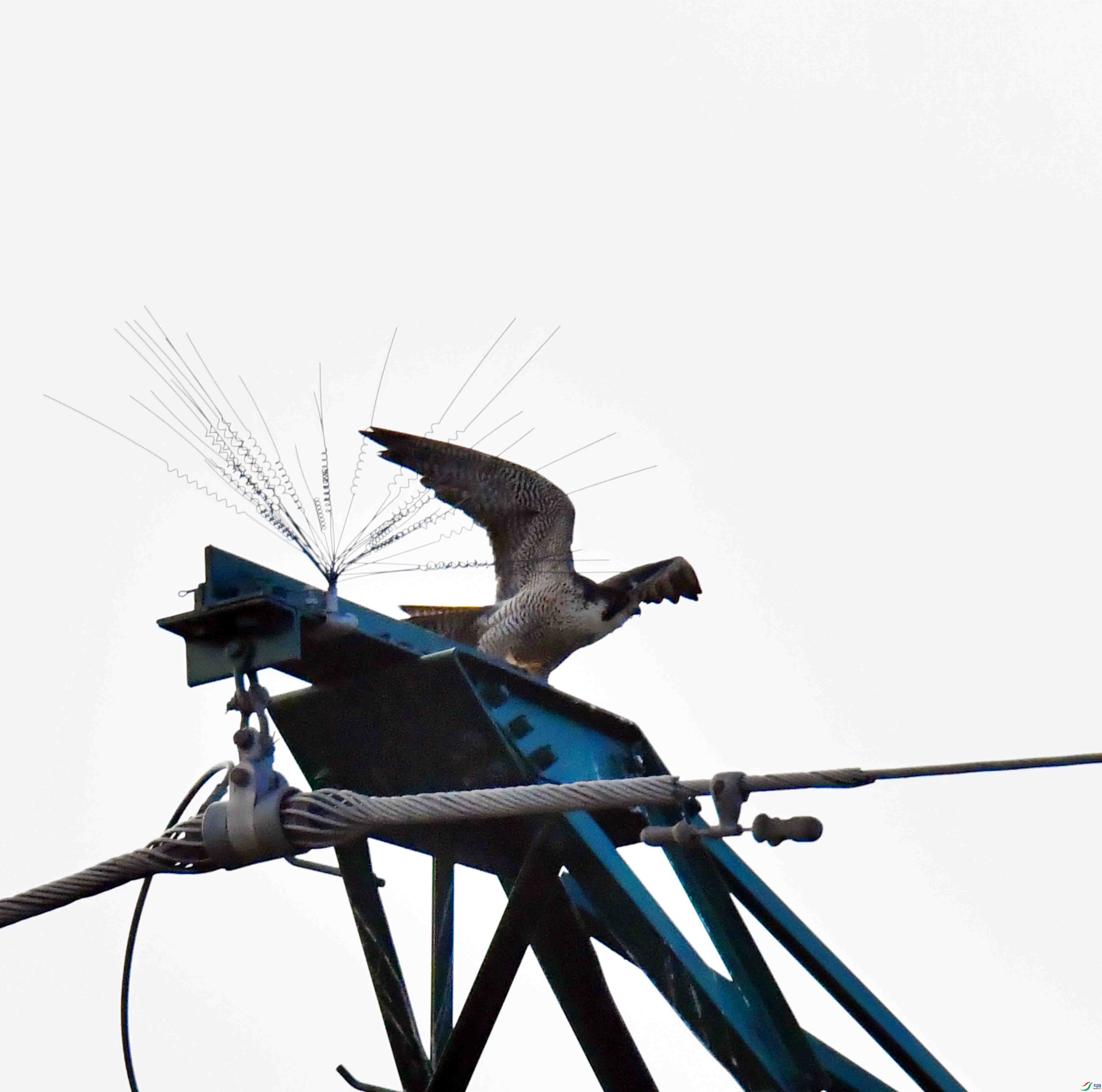 DSC_2219.JPG
