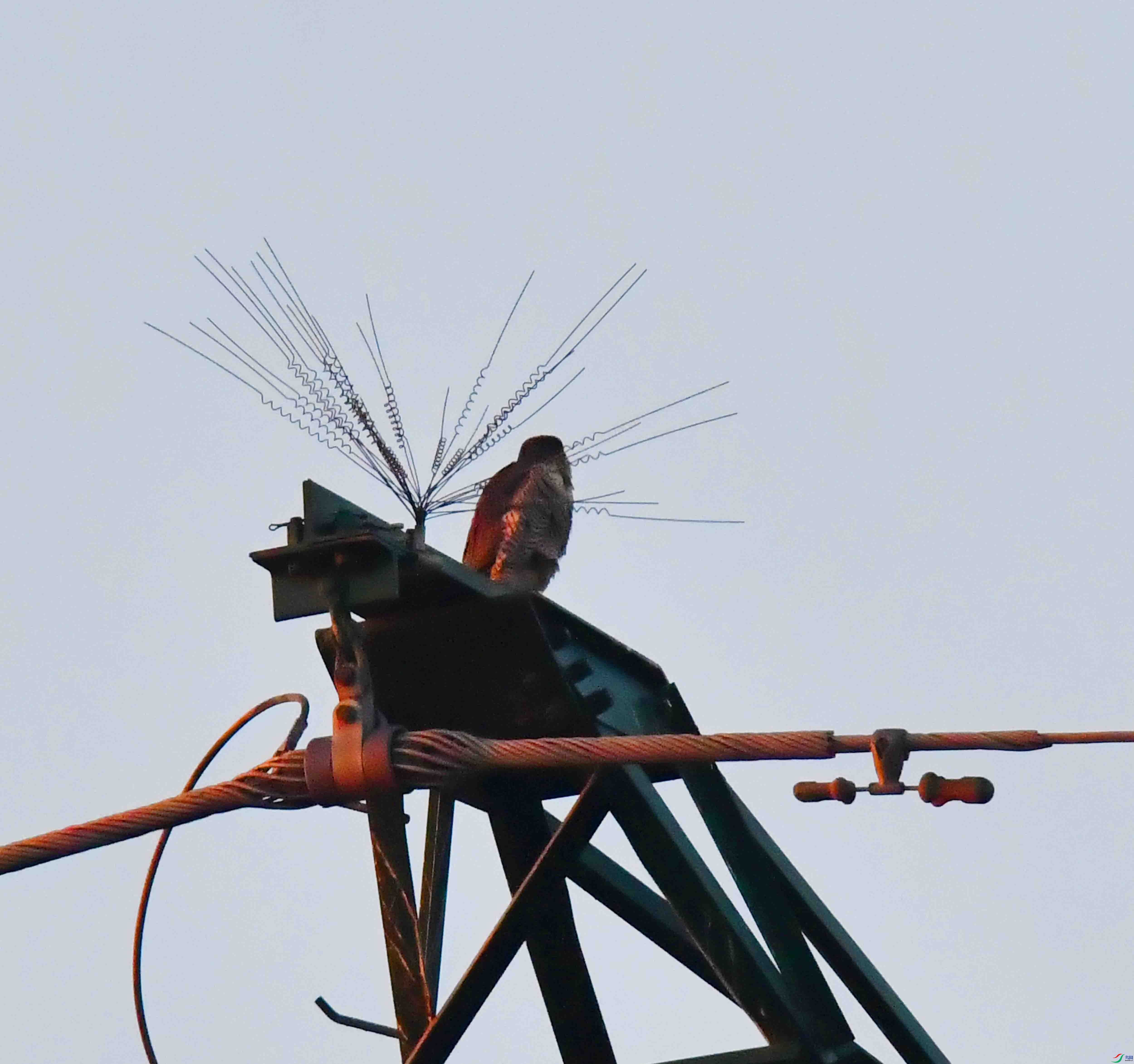 DSC_2350.JPG