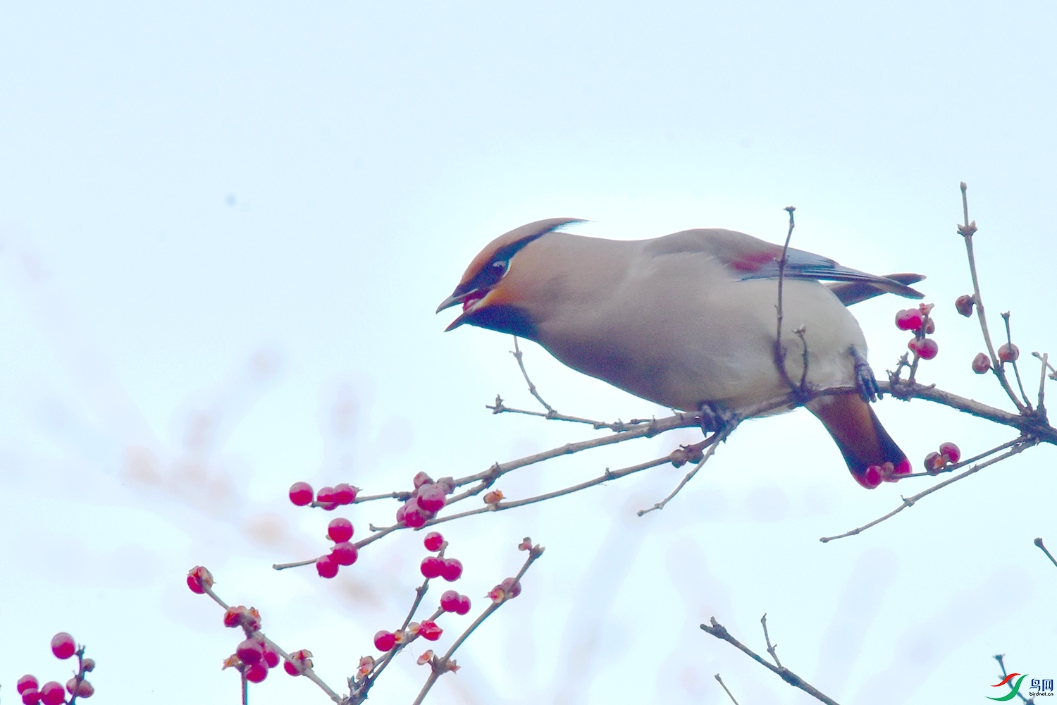 DSC_5851.JPG