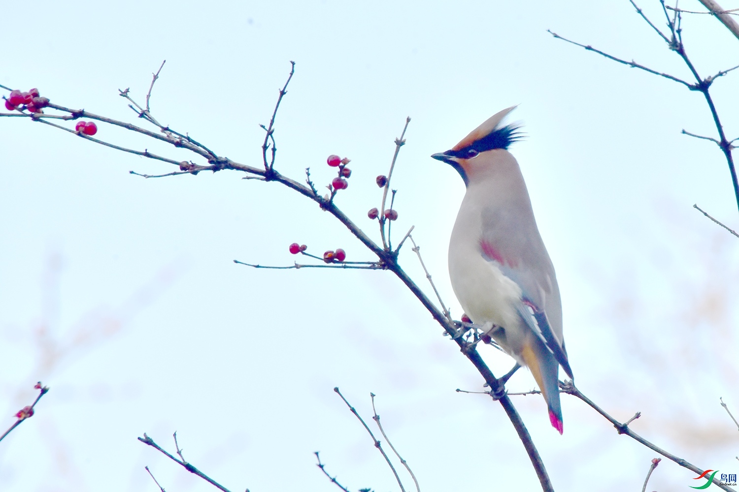 DSC_5848.JPG
