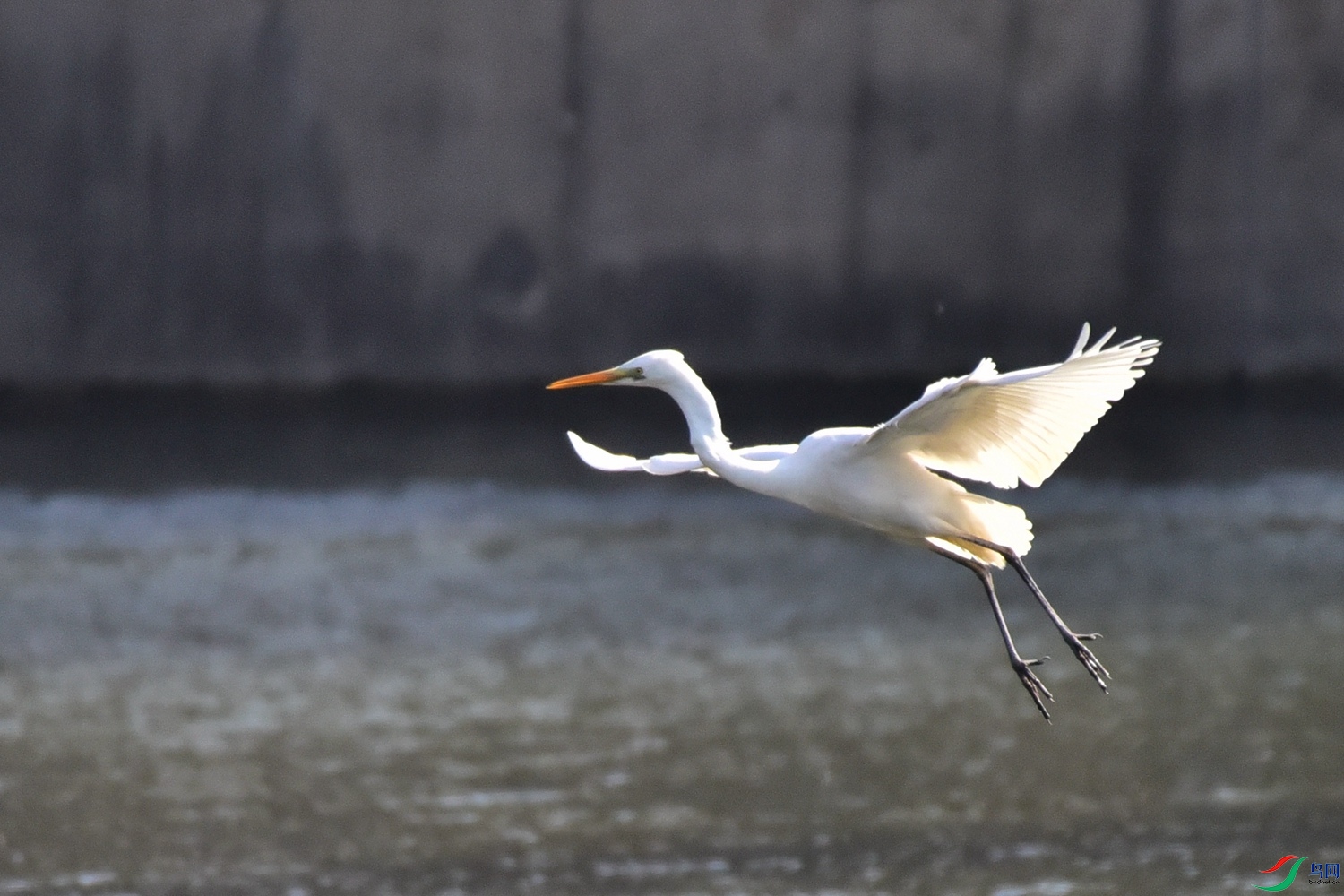 DSC_6055.JPG