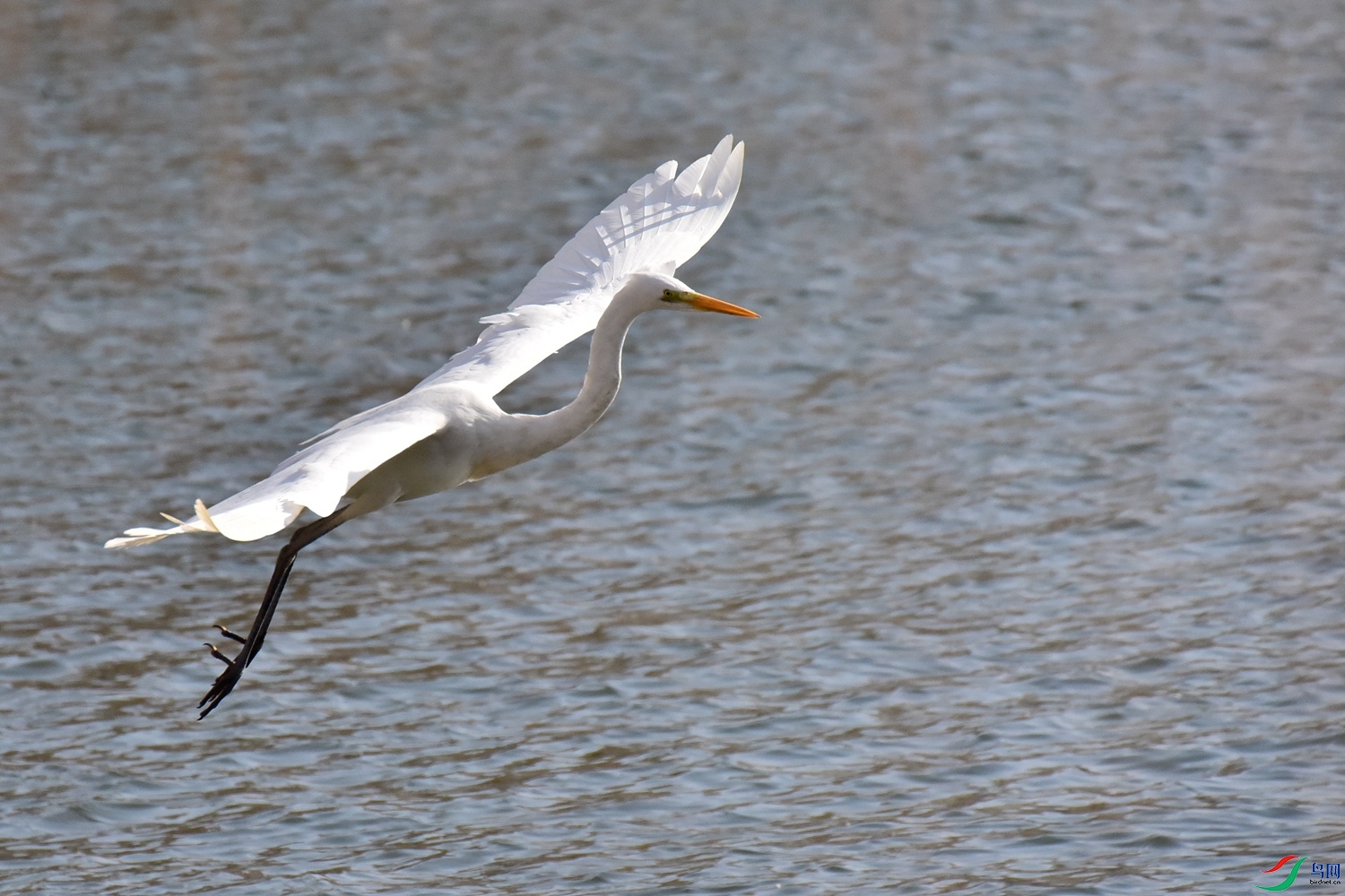 DSC_6070.JPG