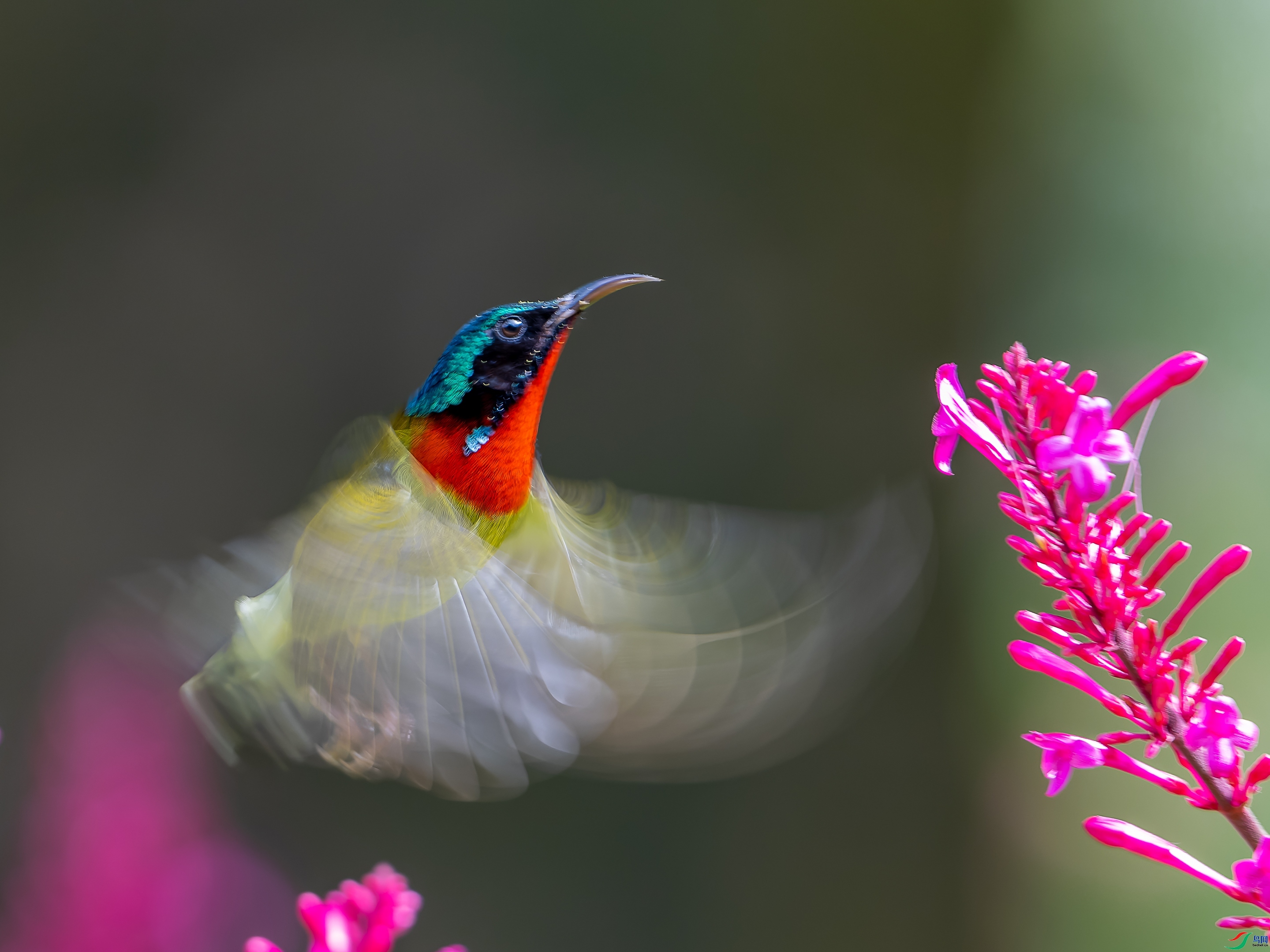 ��������  ���� qpwu  ����.jpg