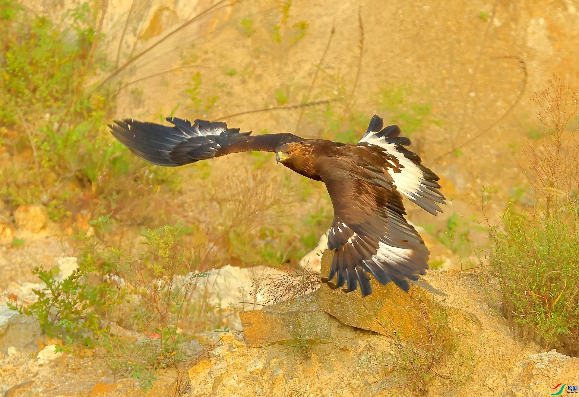 ������  ���� 8341  ����.jpg