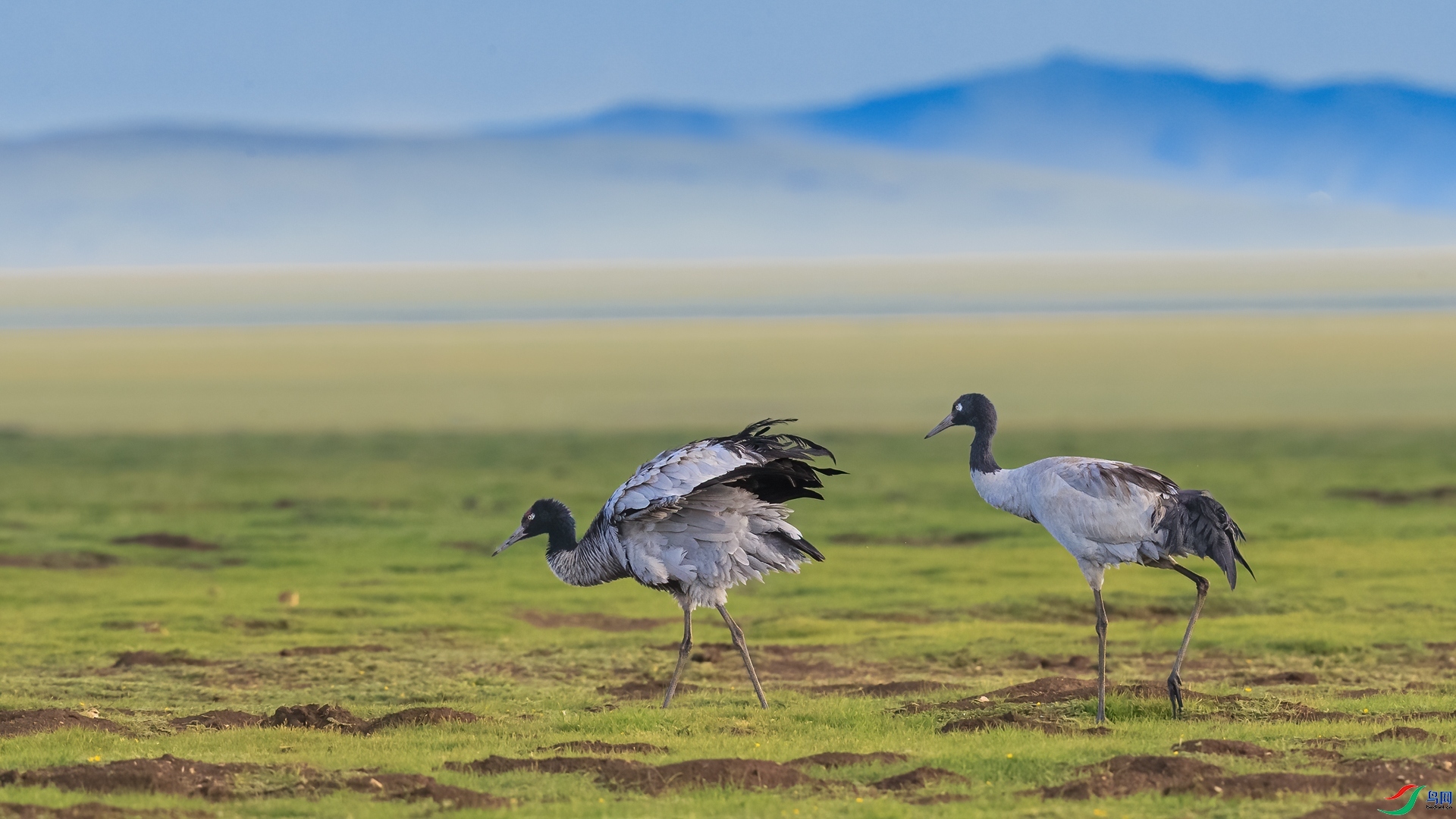 ����ʱ�� ���� ��ͥ�Ų�YES  ����.jpg