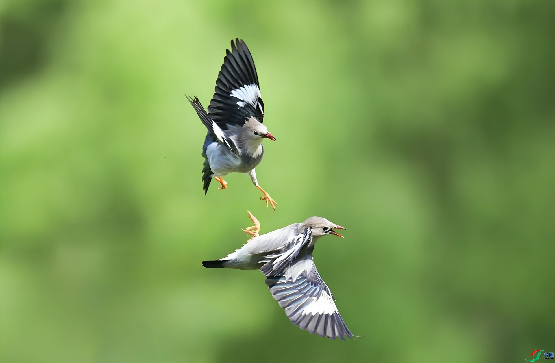 ���� ���� ����뻳 ����.jpg