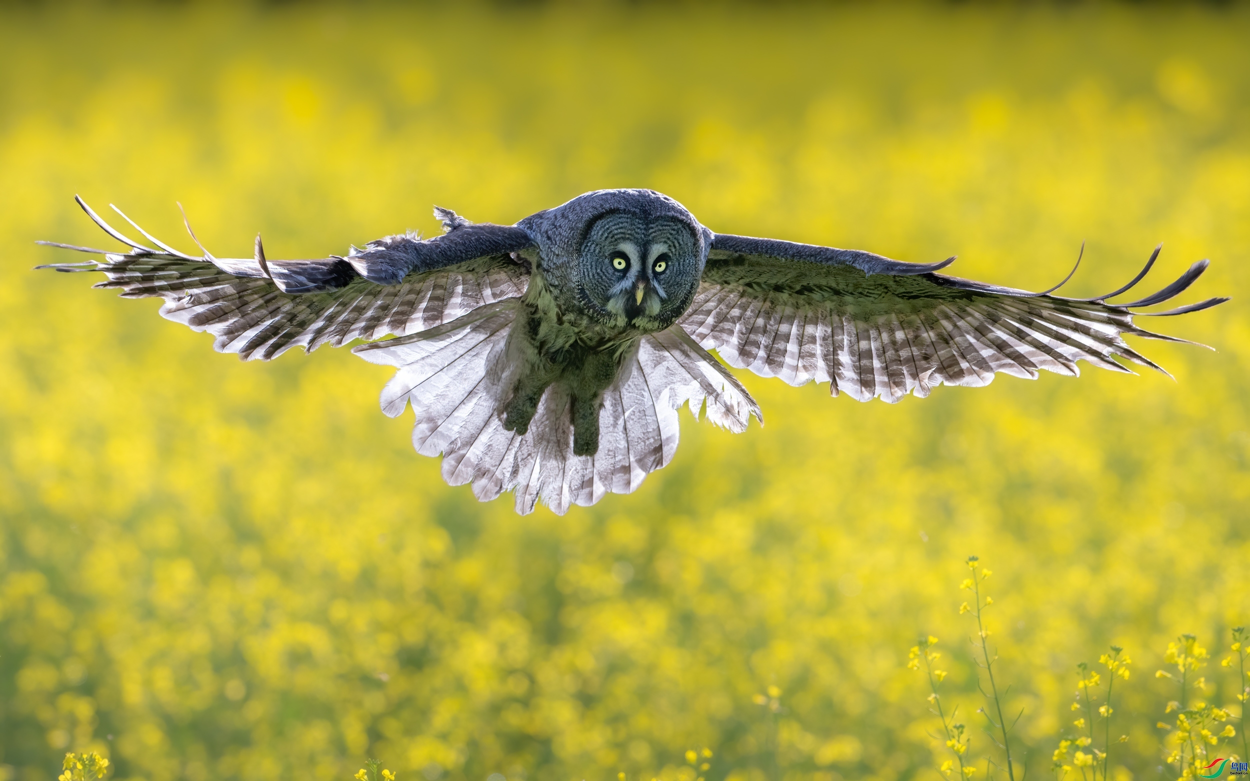 �����^ ���� ��Ͽ֮�� ����.jpg