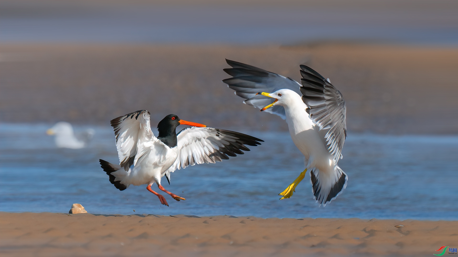 ���� ���� ���� ����.jpg