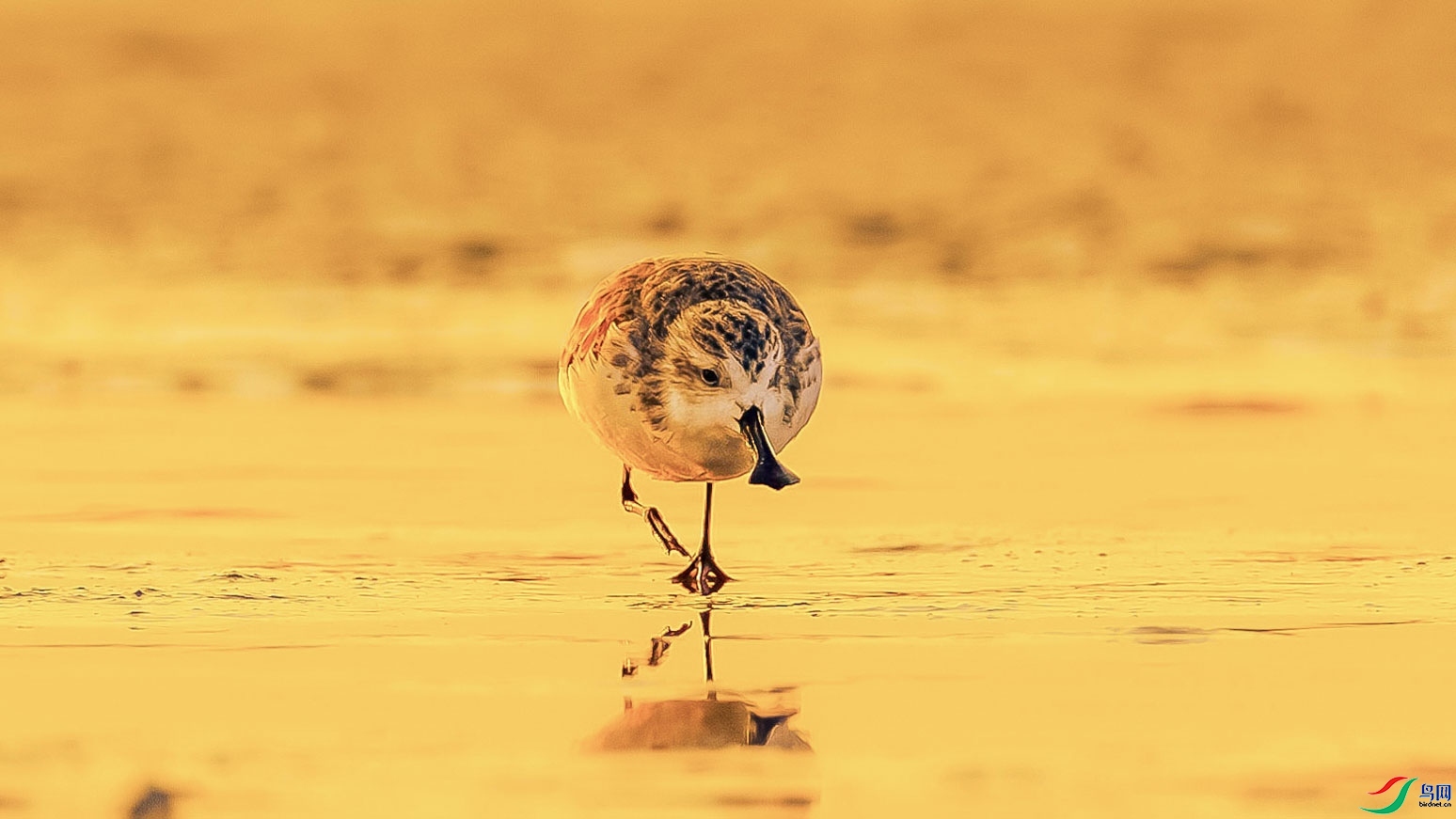 �����йأ���������  ���� ɳ���Խ� ����.jpg