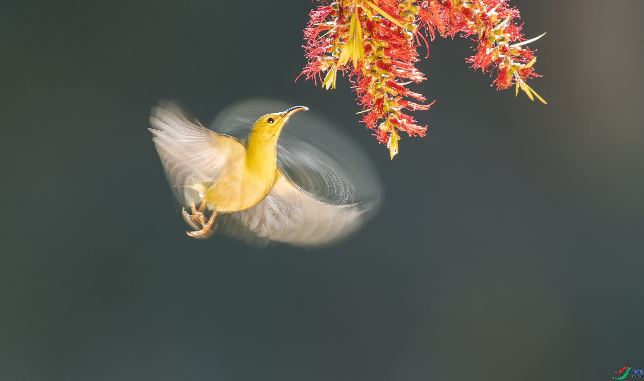 ��β����  ���� ���� ����.jpg