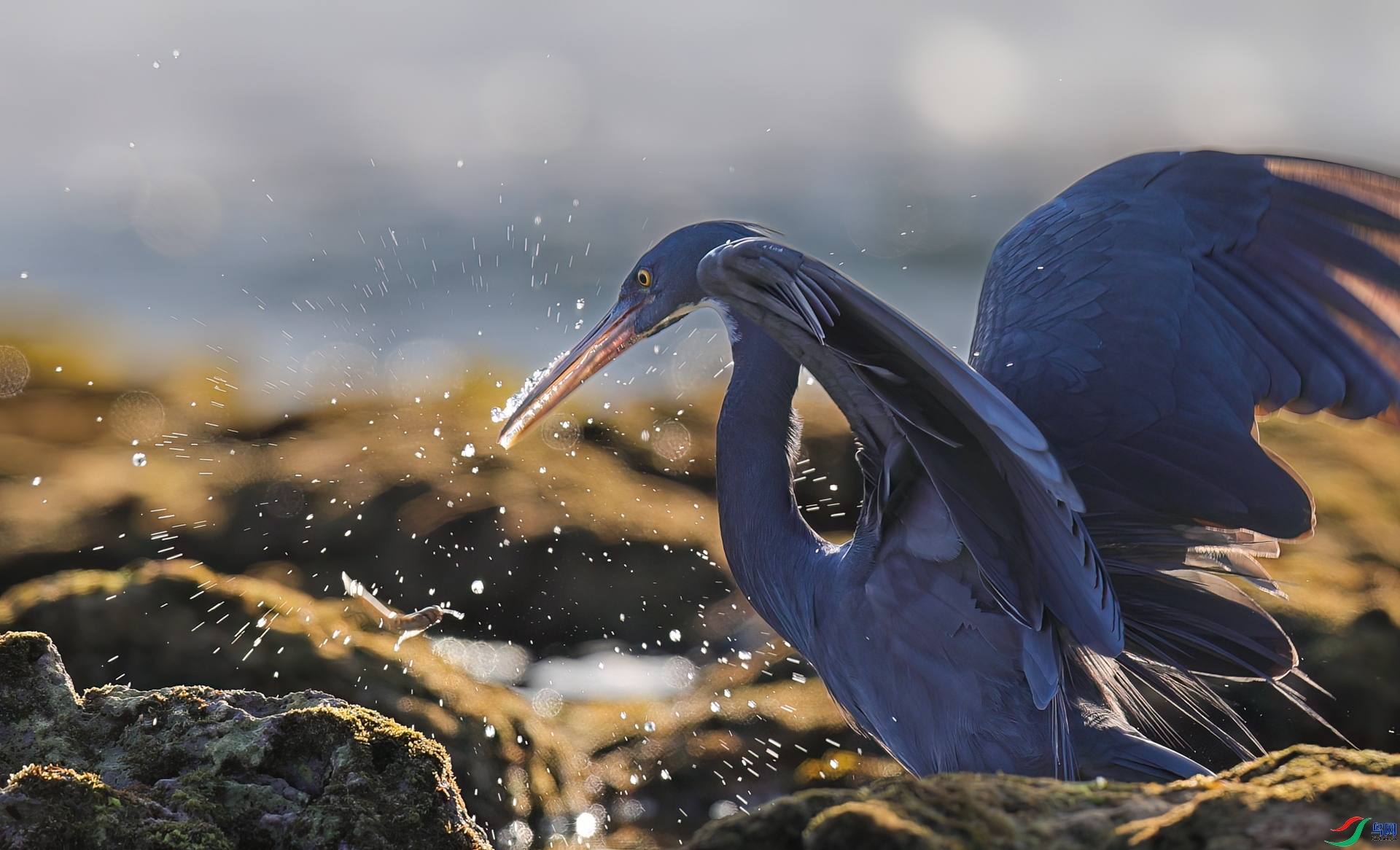 ׷��  ���� ���� ����.jpg