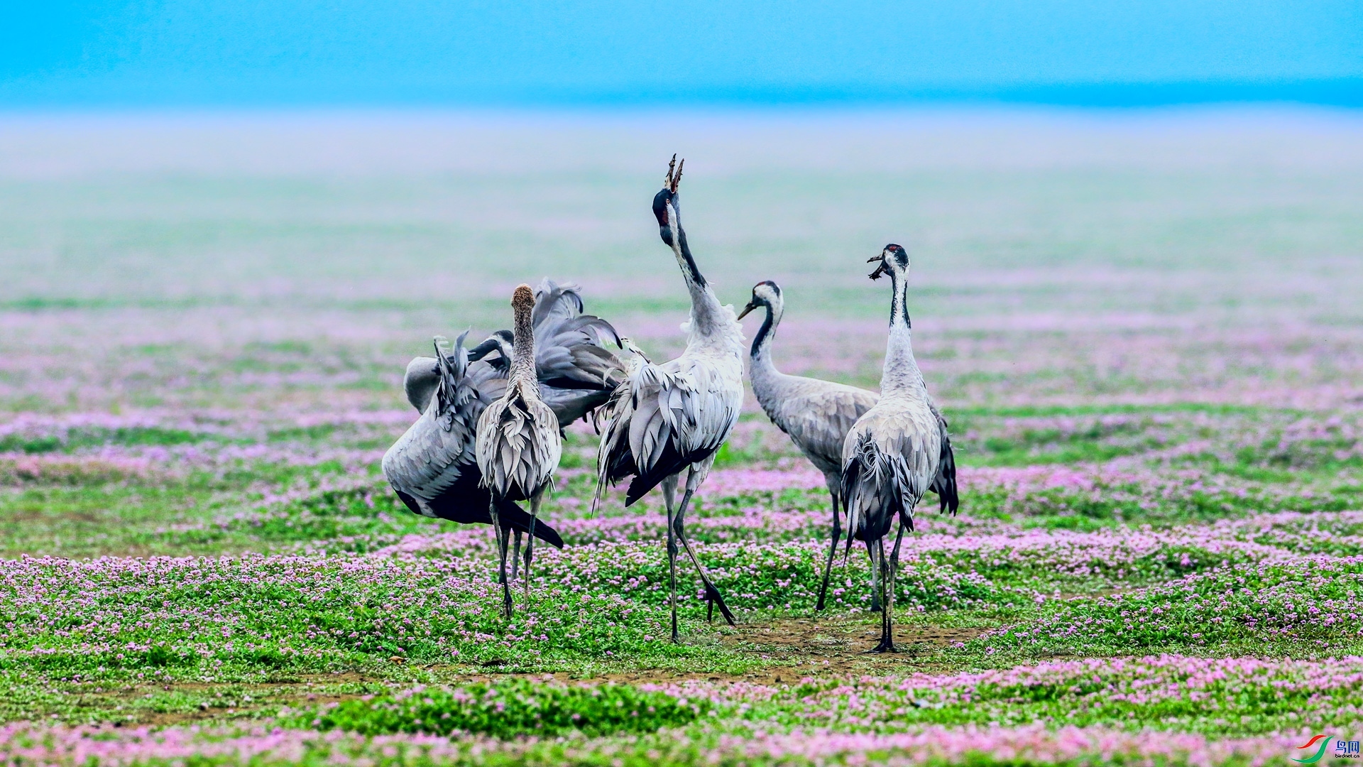 �Һ� ���� л���� ����.jpg