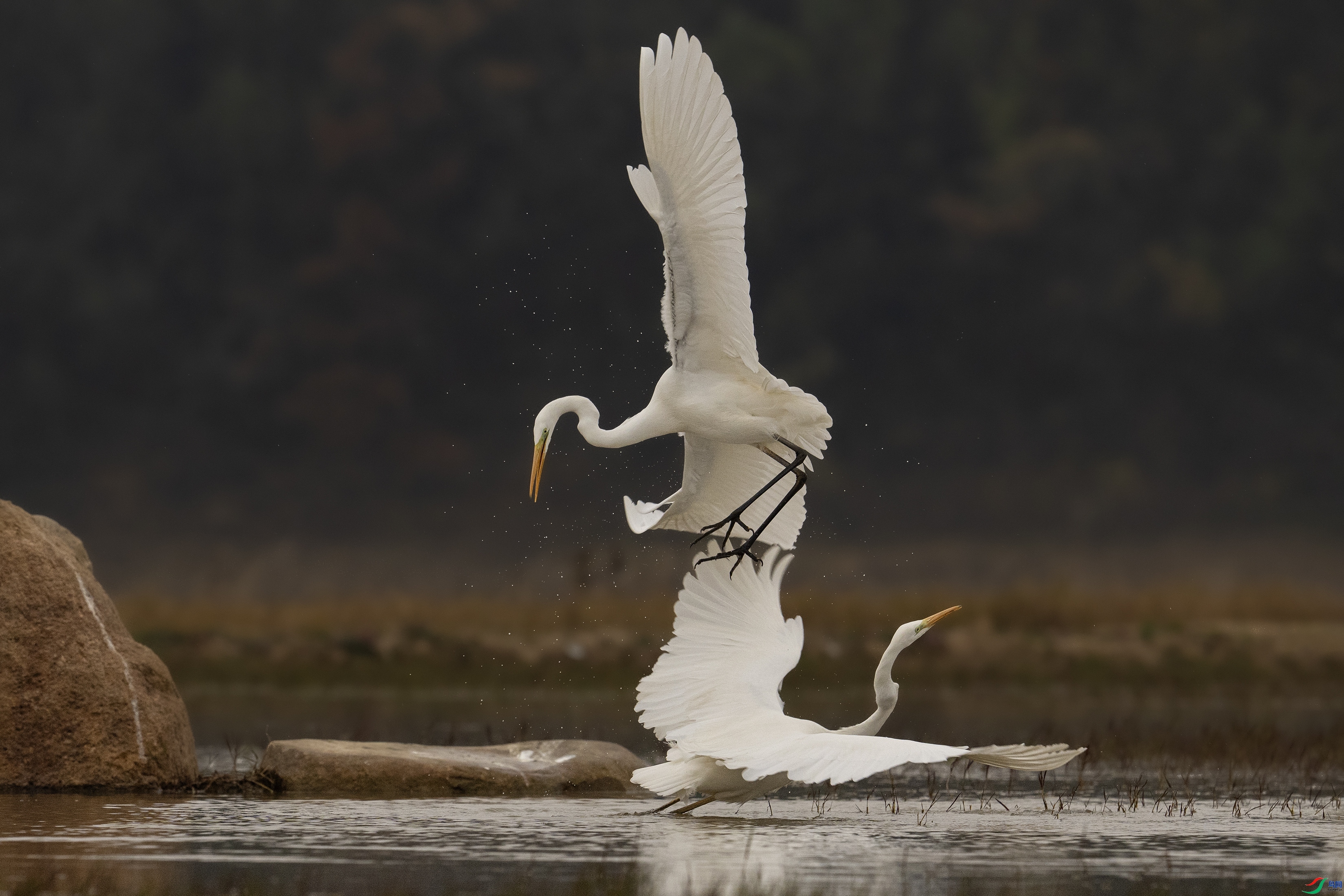 �� ���� ����· ����.jpg