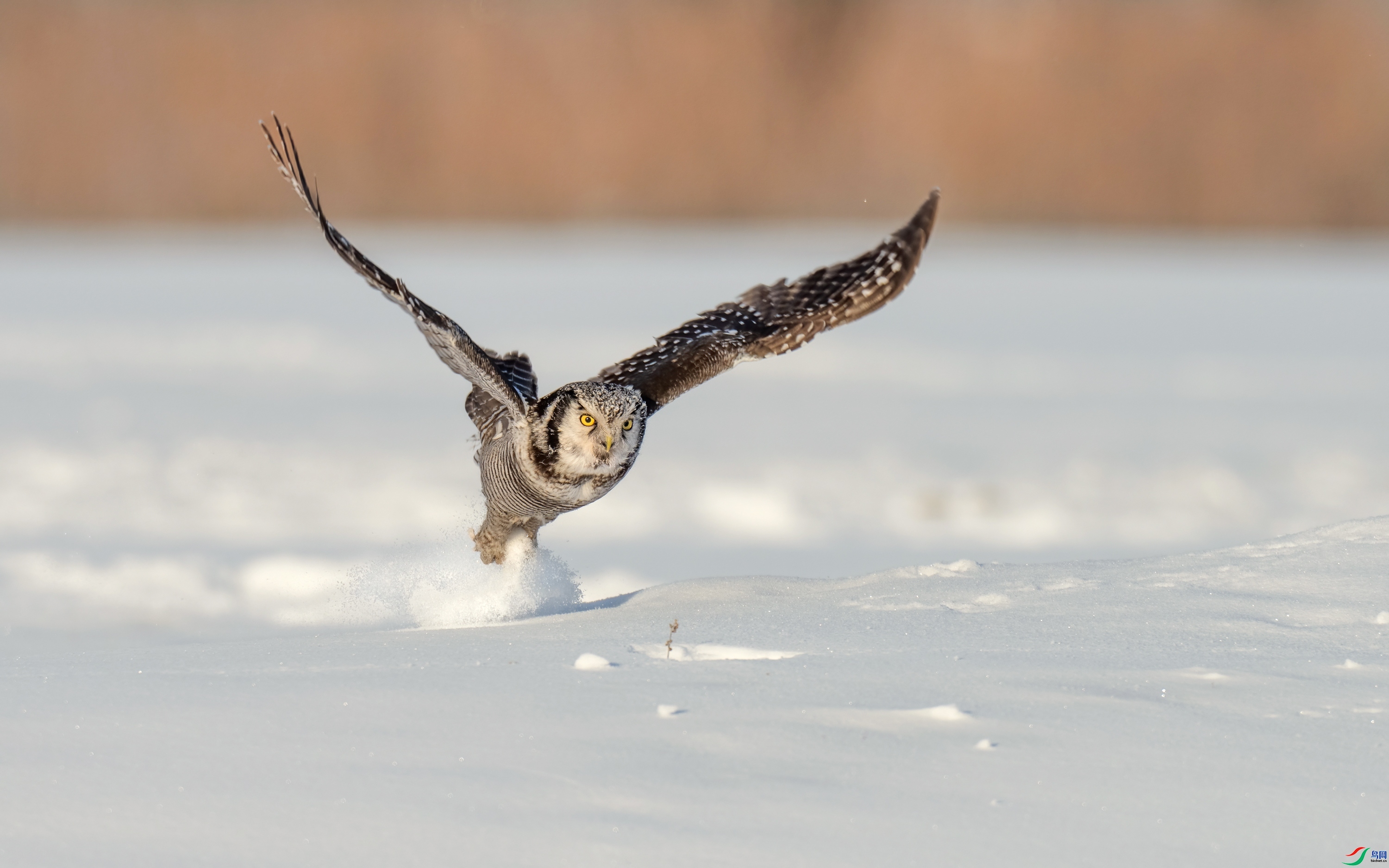 ���^ ���� ���� ����.jpg