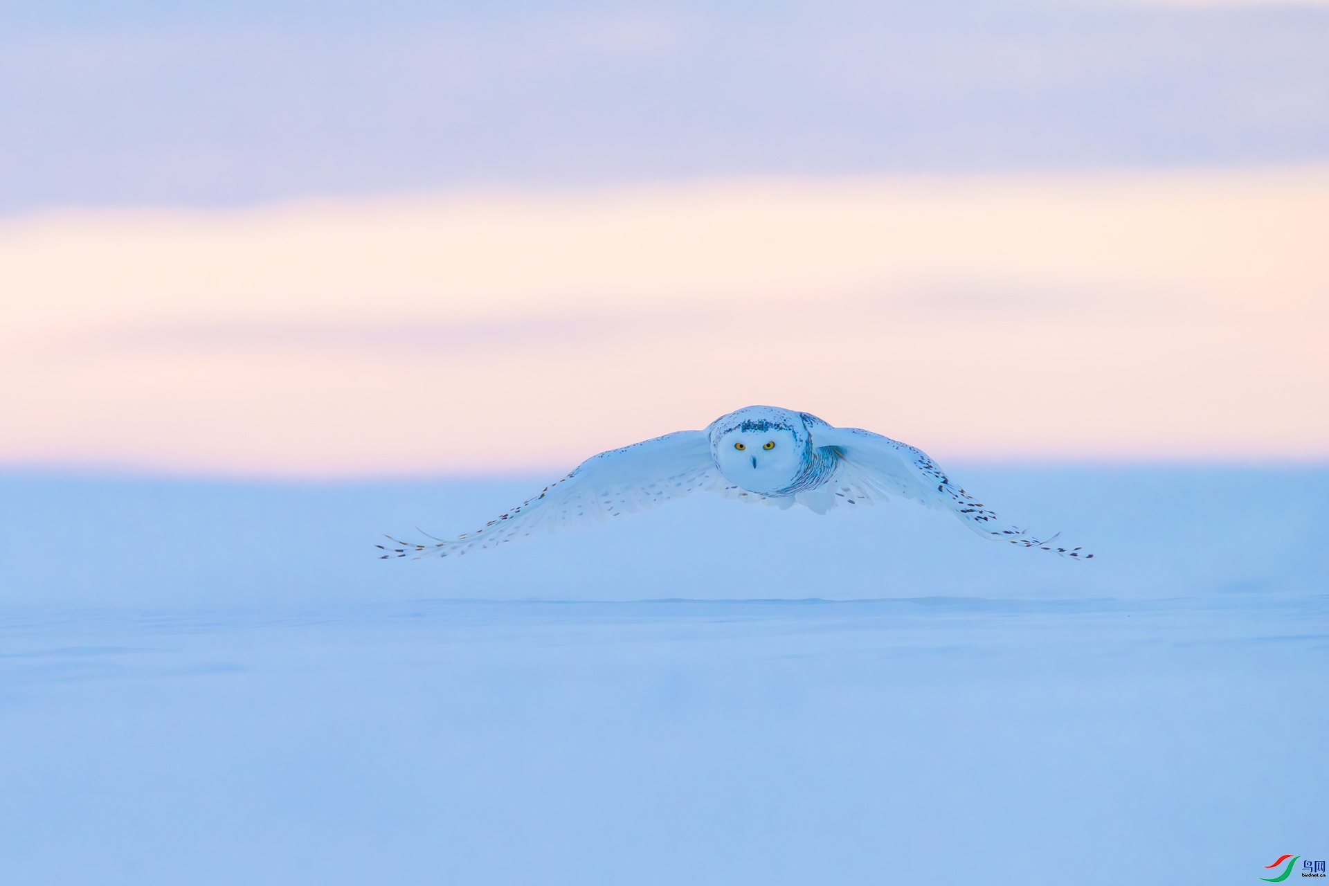 �Ϳշ���  ���� ����.jpg