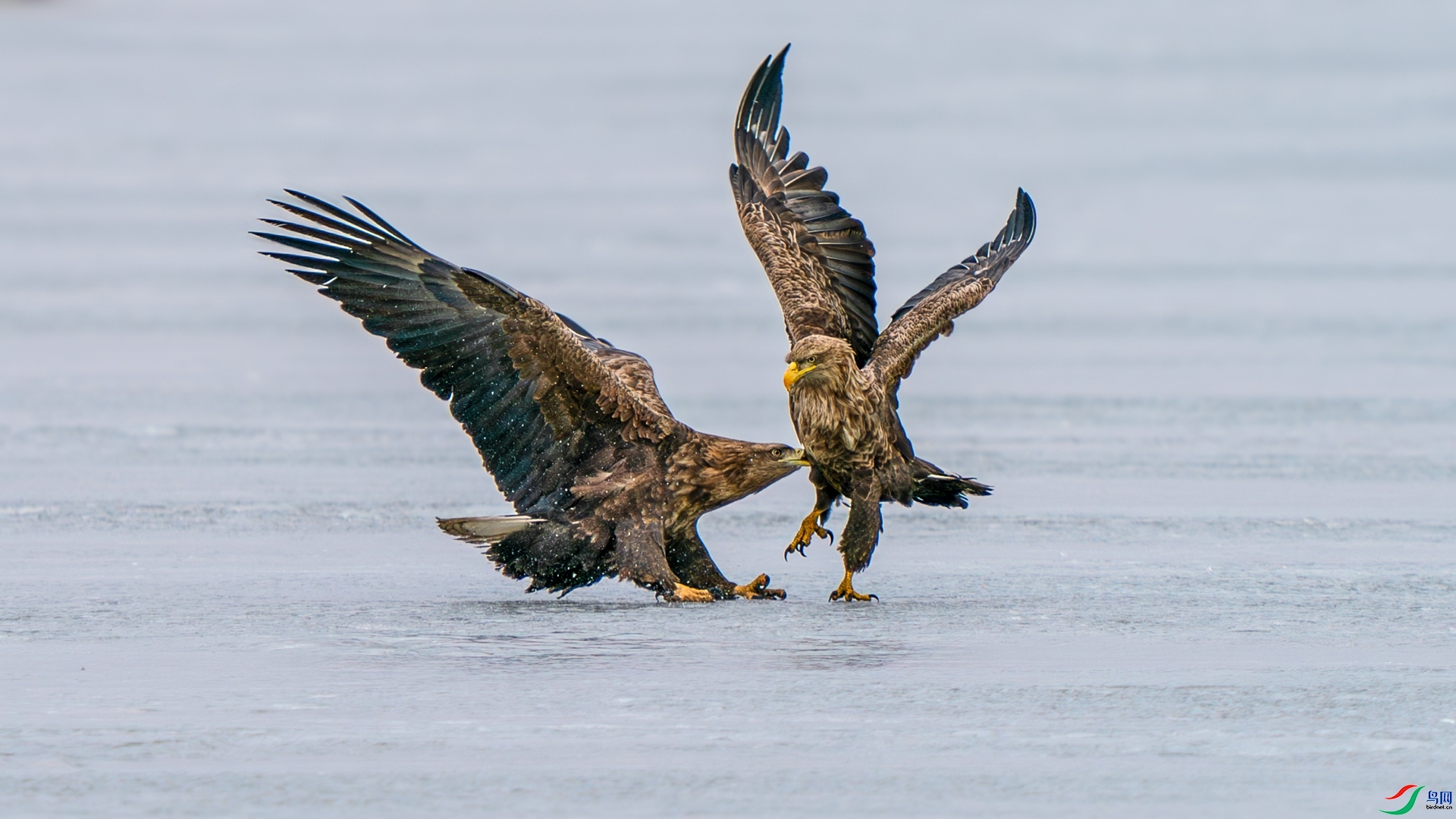 ��ҧ  ���� �������� ����.jpg