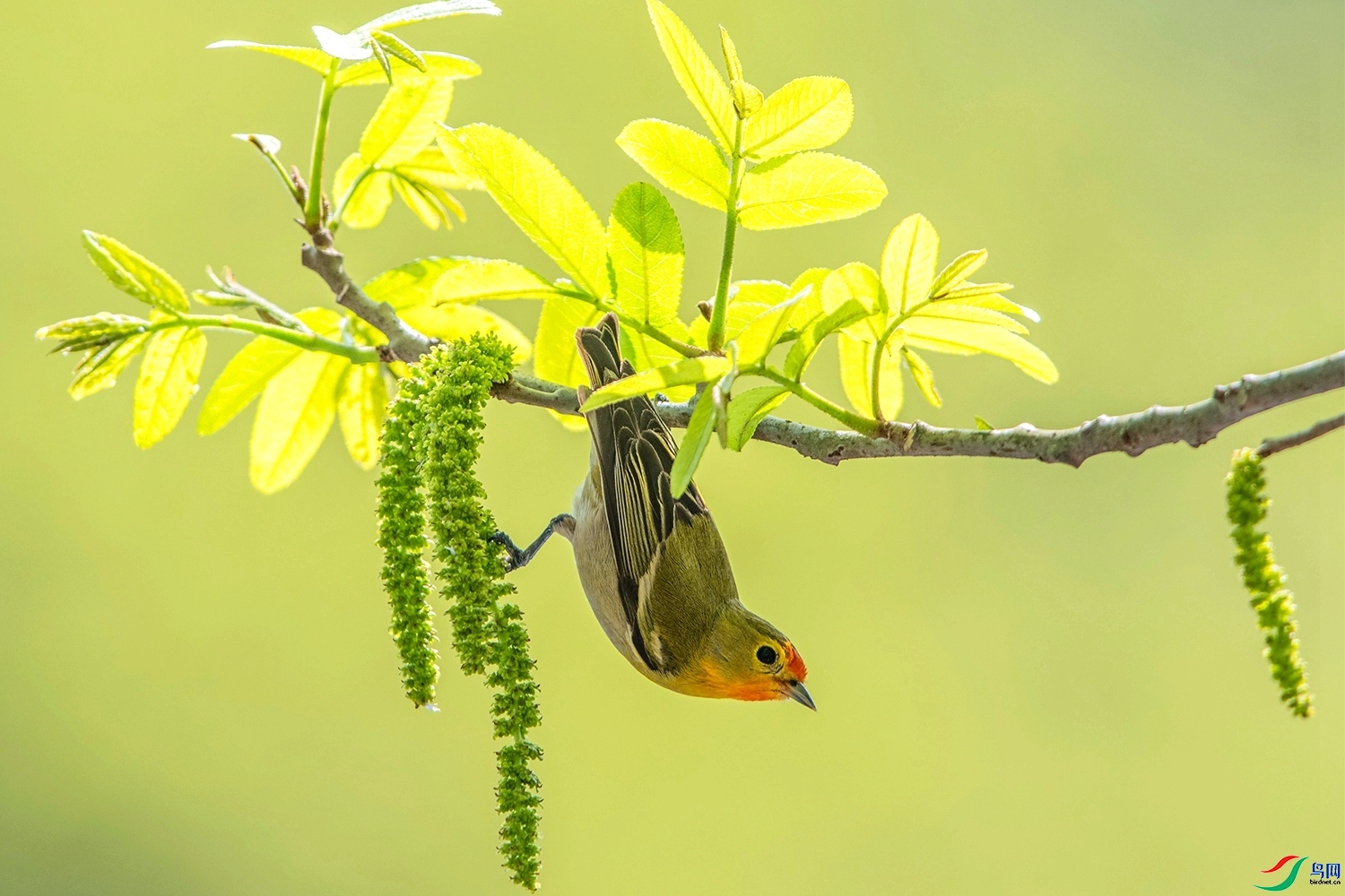 ���ȸ  ���� ͧ�� ����.jpg