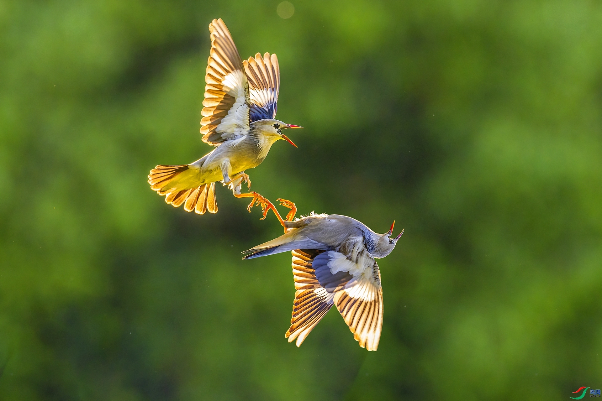 ��� ���� ������ ����.jpg