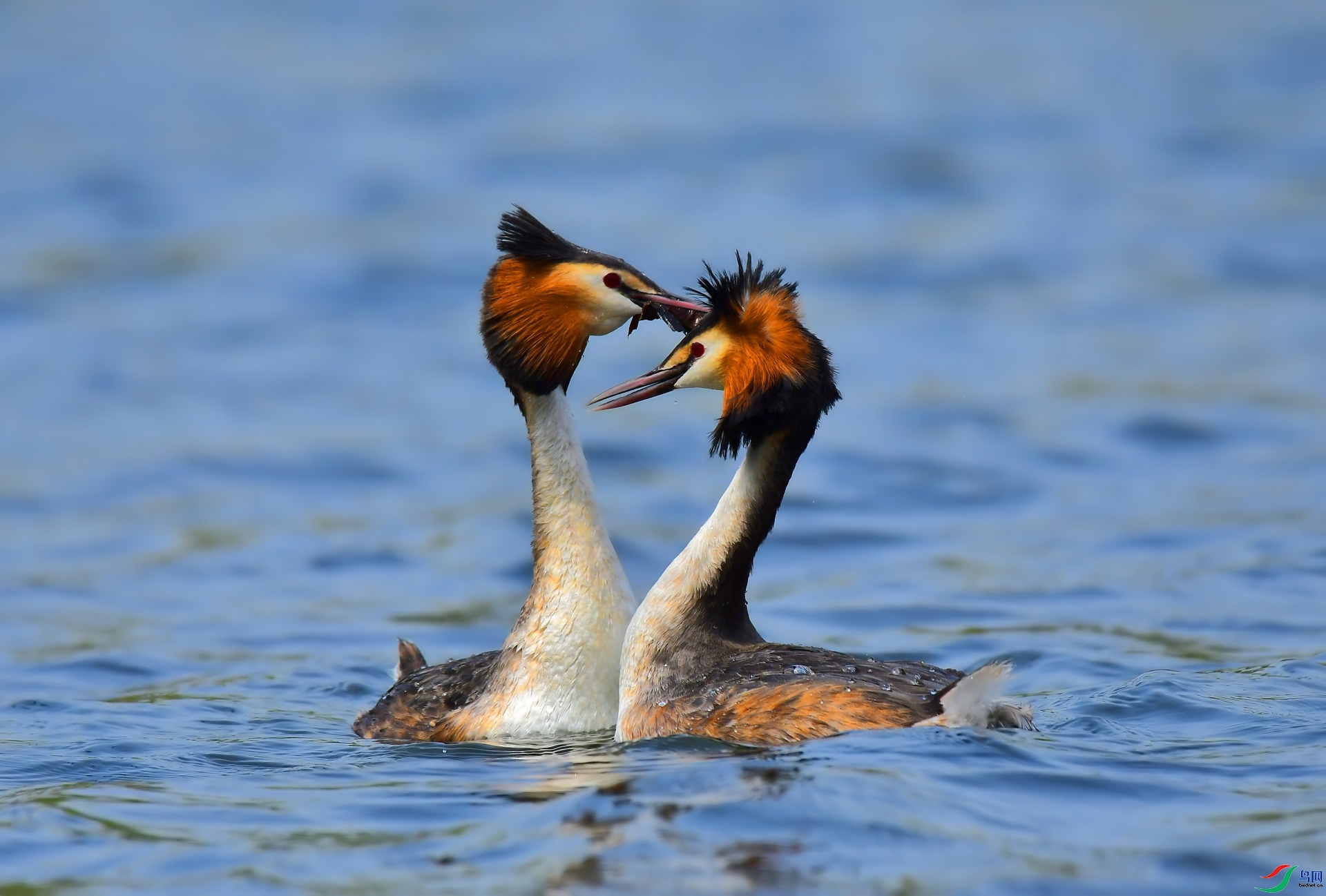 ��ͷ�G�f ���� ����С�� ����.jpg