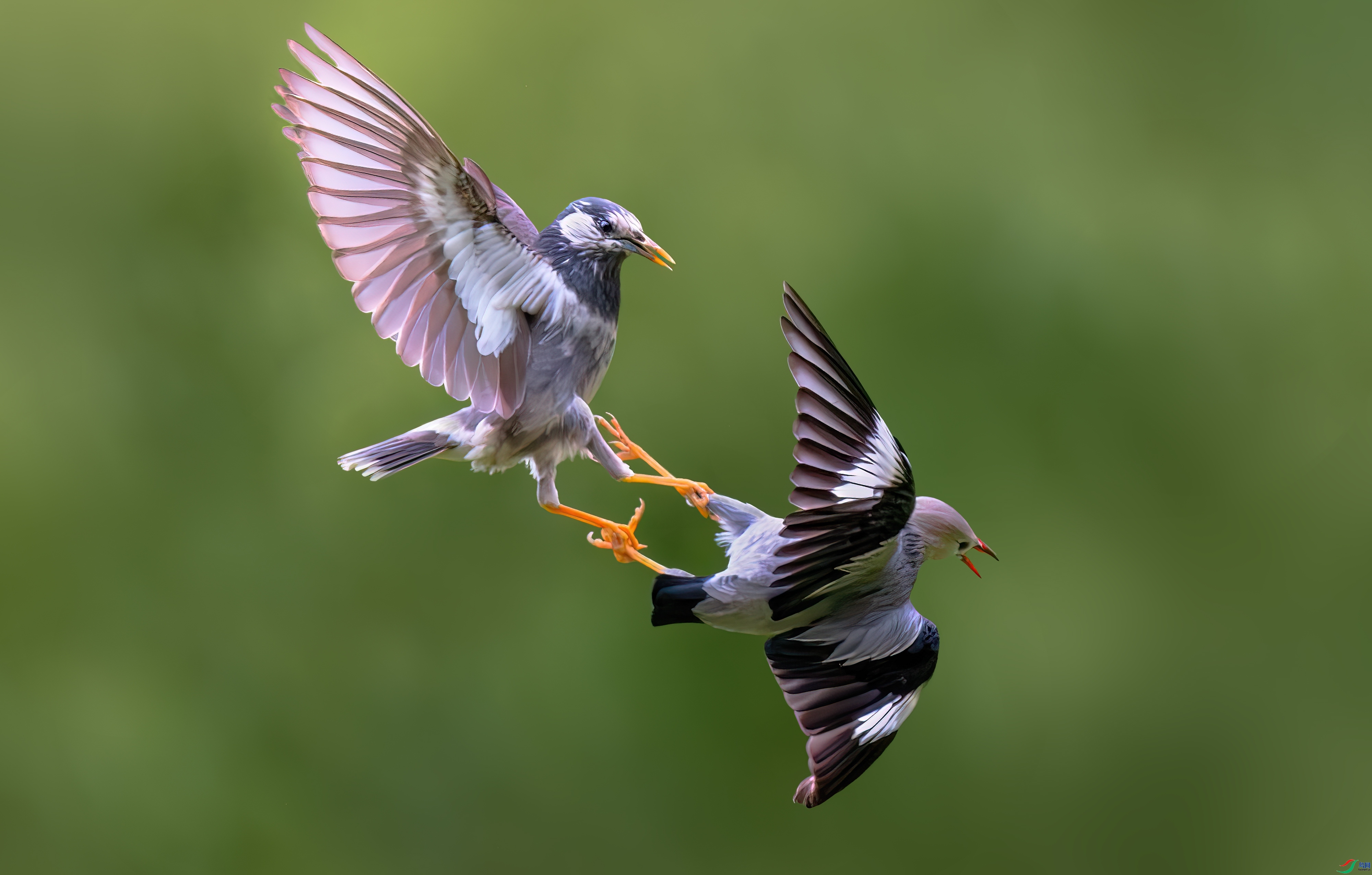 ����������ȥ���Ѿ���  ����춼ͷ�   ����.jpg