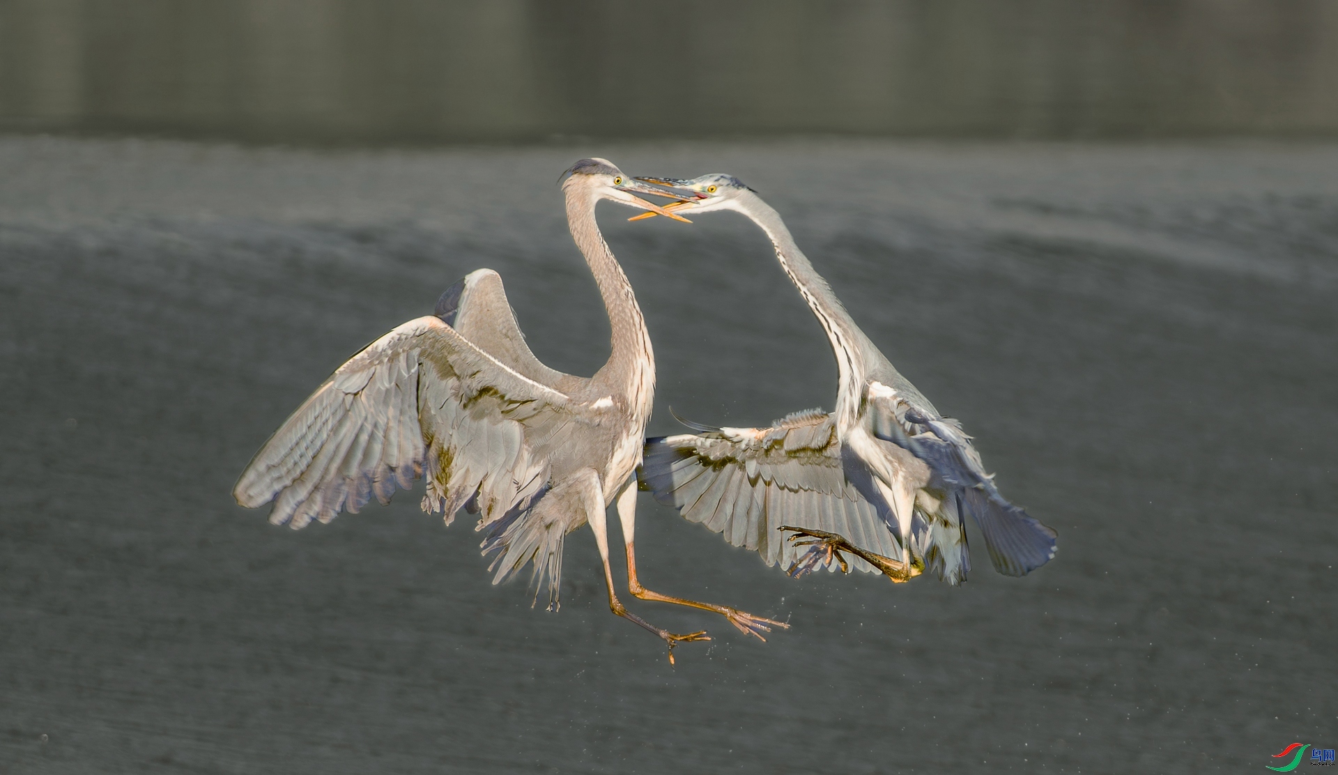 ���ض��� ���� ���� ����.jpg