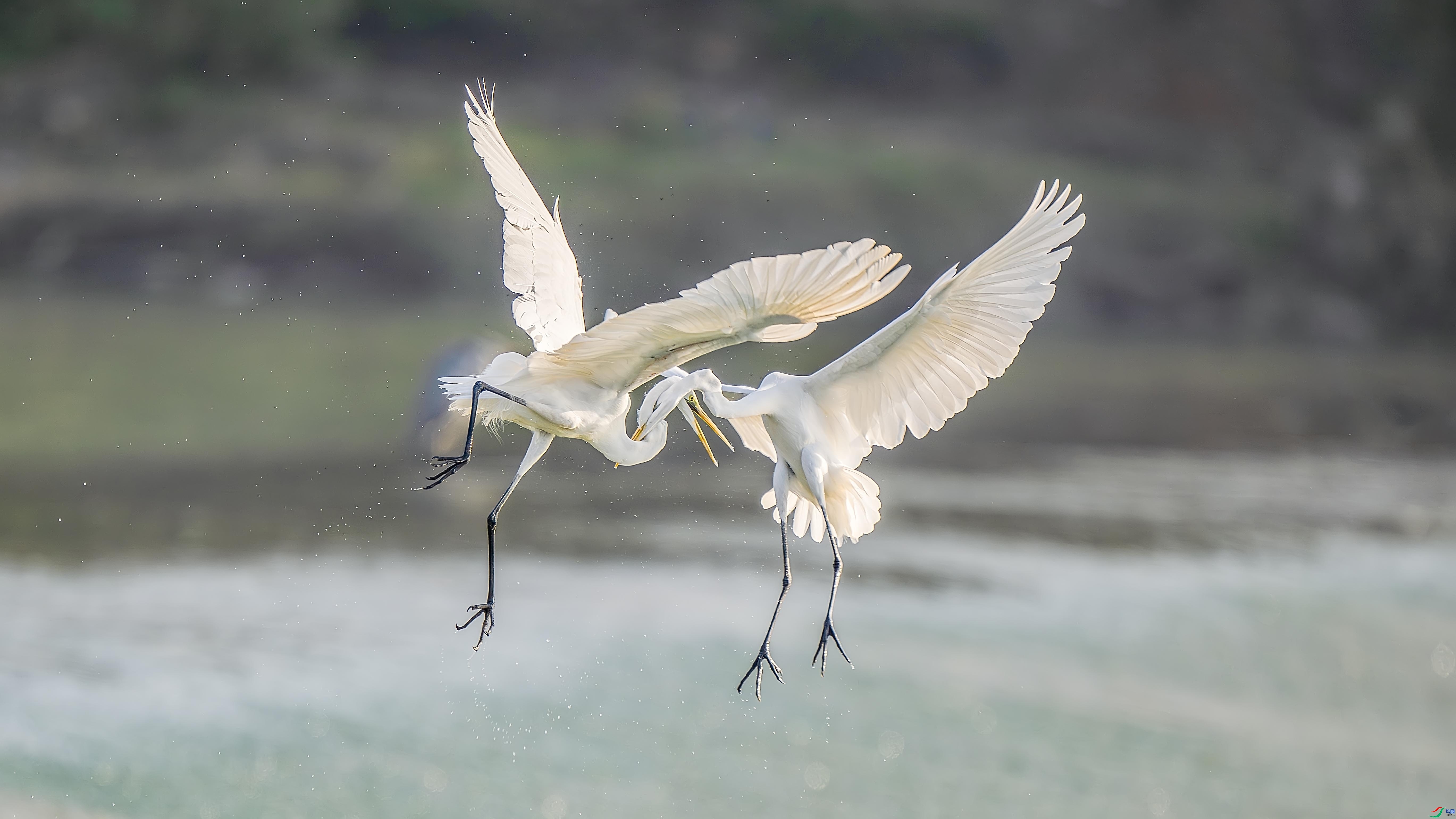 ����ٽо�  ���� ����.jpg