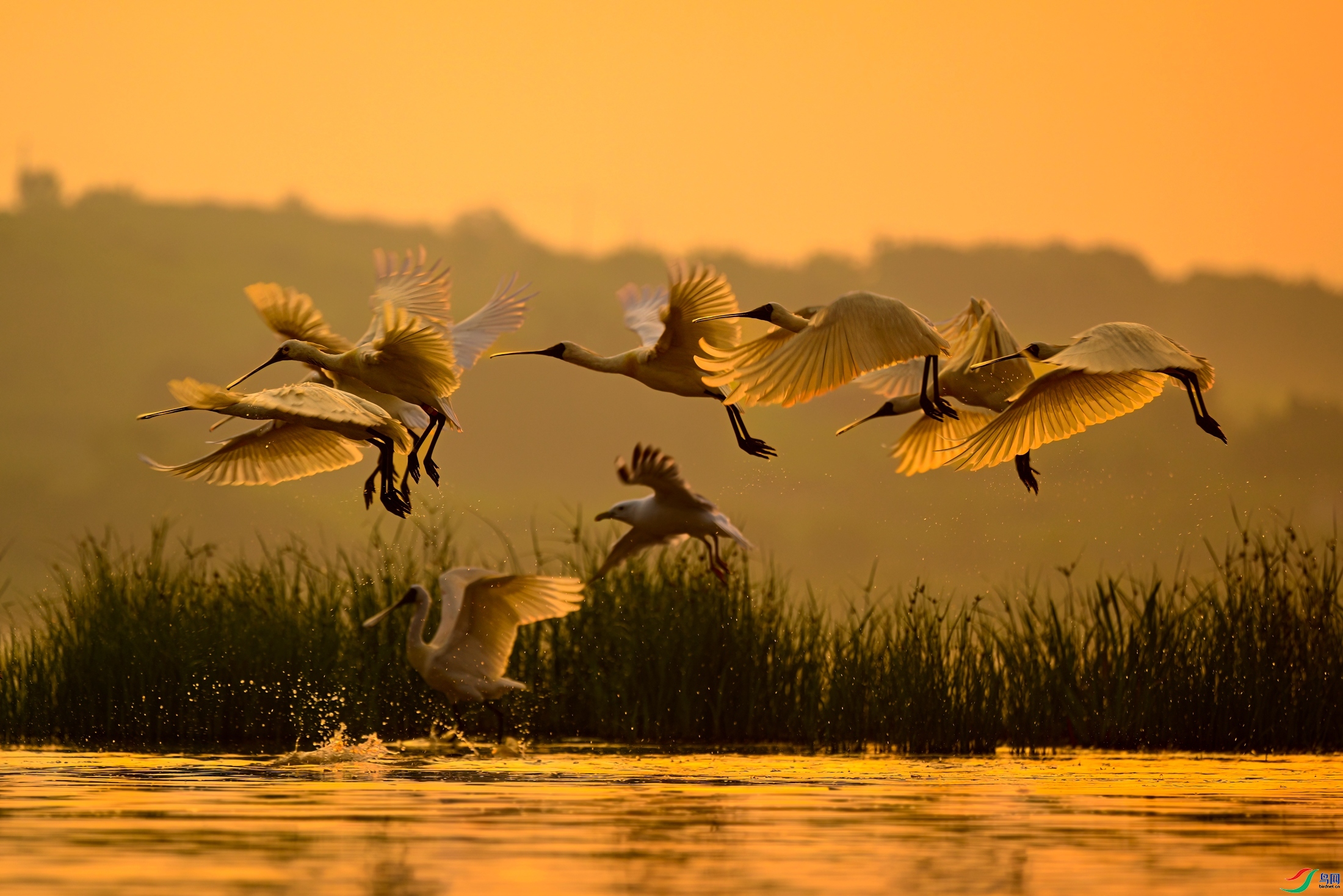 ���� ���� �չ���������  ����.jpg