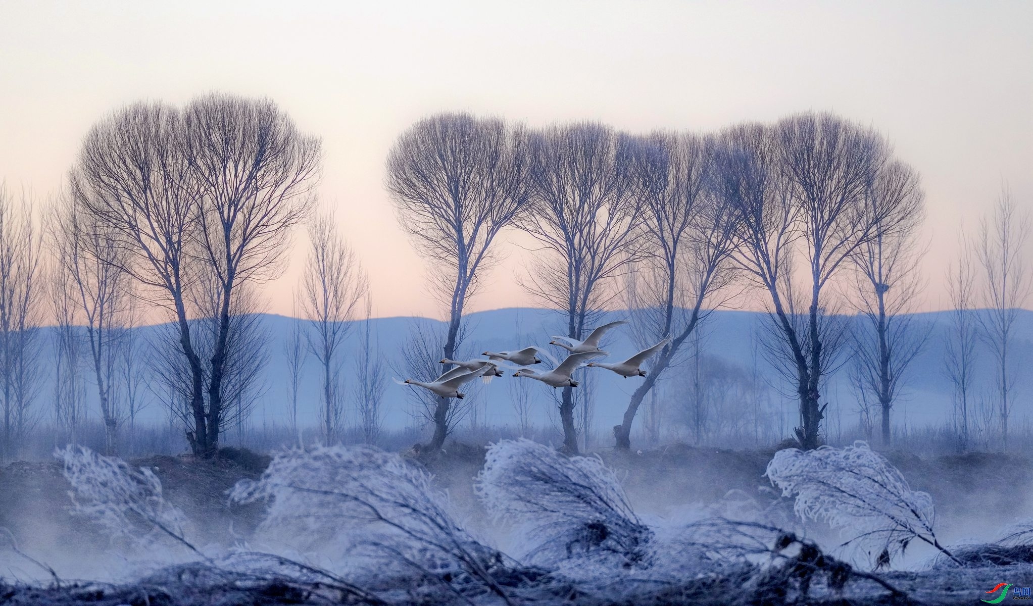 ��Ա���������� ��������ʹ��.jpg