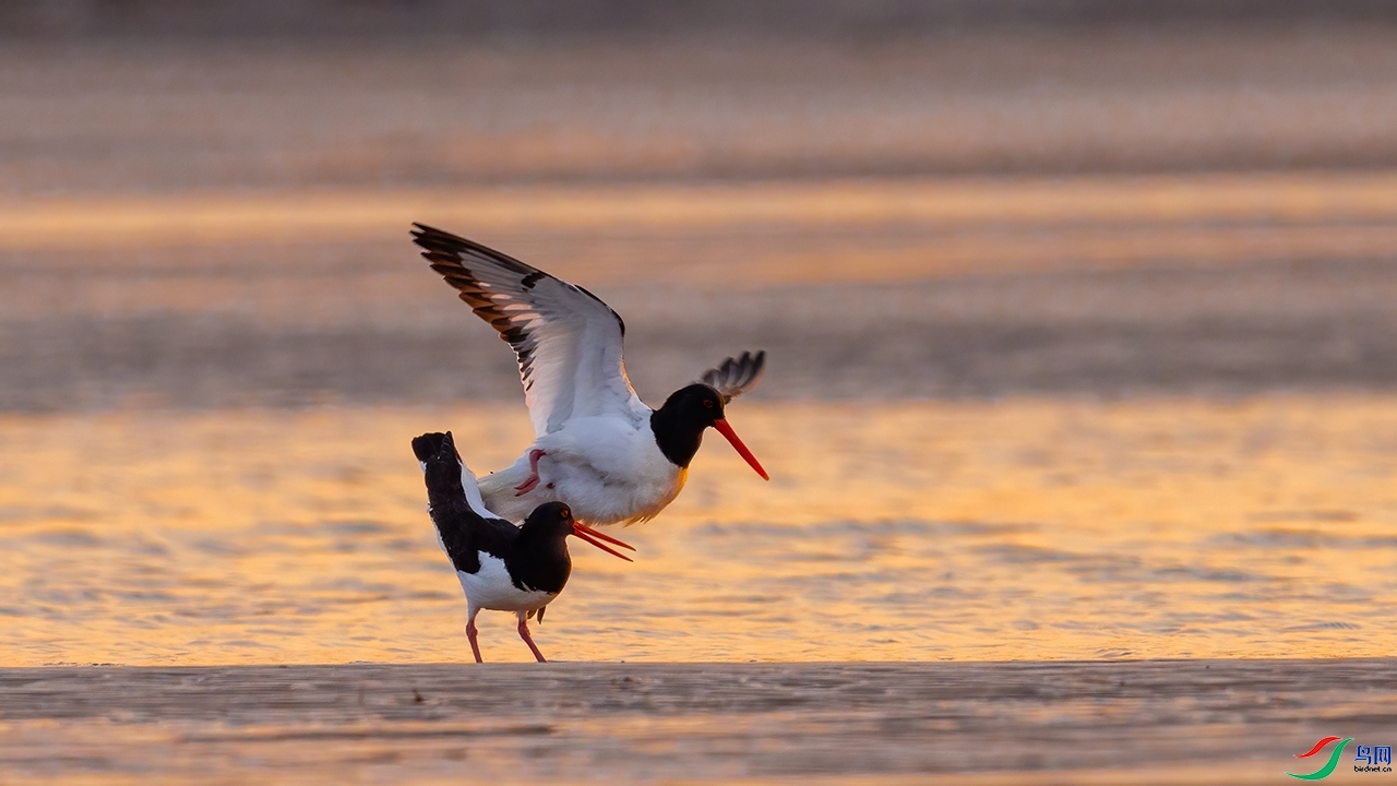 ���Ѿ������� ��֮�����������.jpg