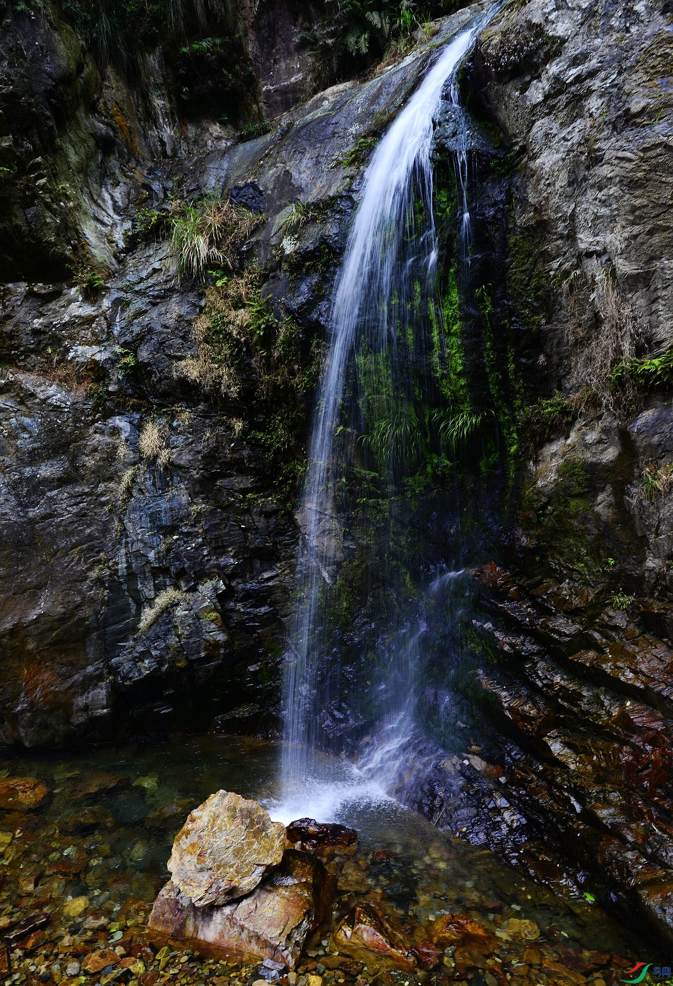 _D803469.jpg