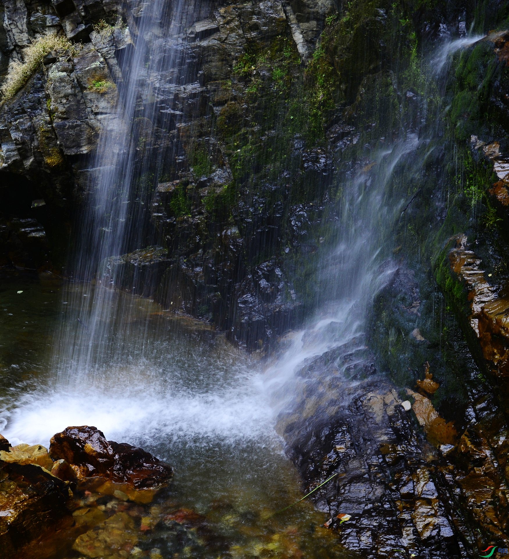 _D803478.jpg