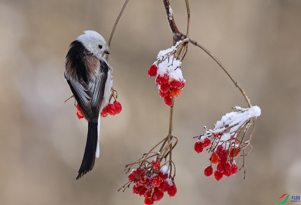 ����֮��6.jpg