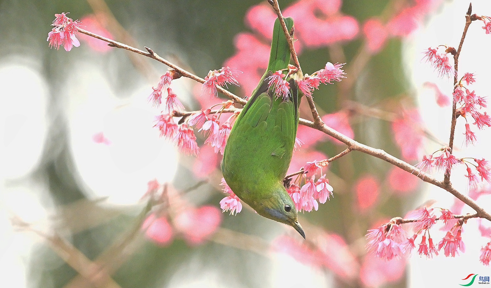 {8769AF1A-820B-4762-8AA8-46A9F1EC204A} ����.jpg