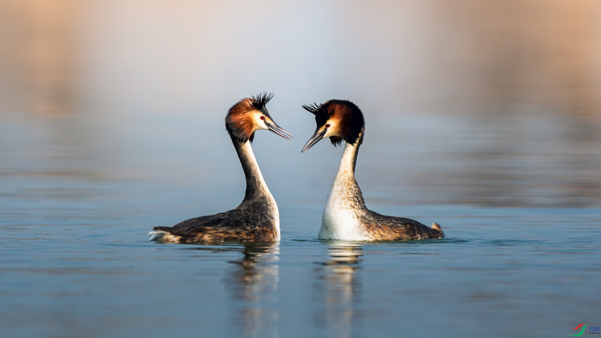 1_XXI5214-����ǿ-NR ����.jpeg