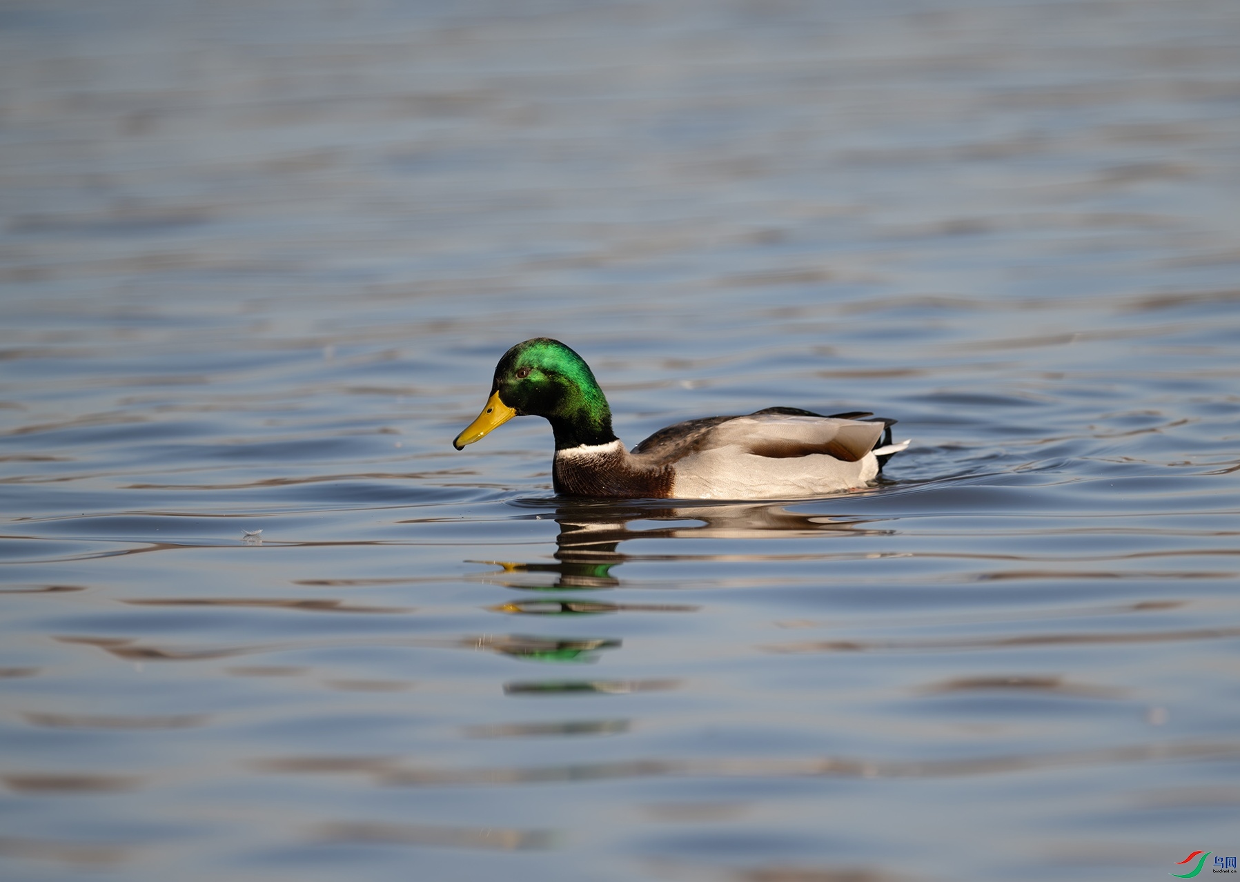 DSC_5024f.jpg