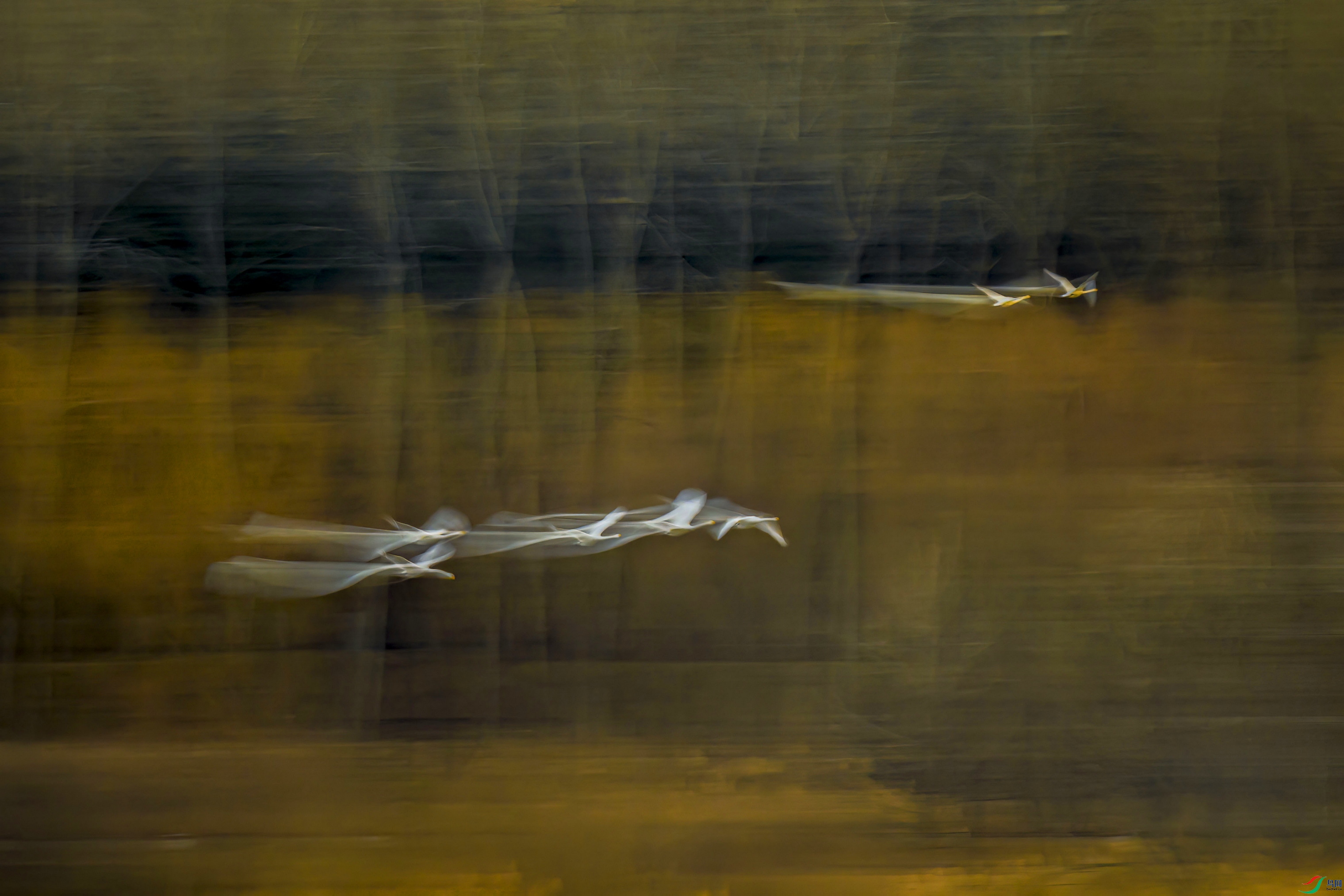 _DSC9933 ���� 2F003.jpg