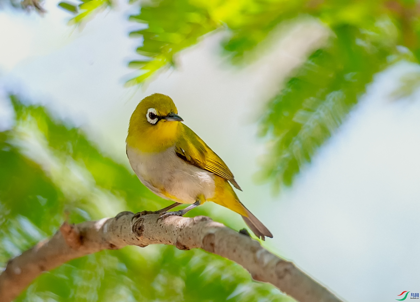 DSC_2016-1.jpg