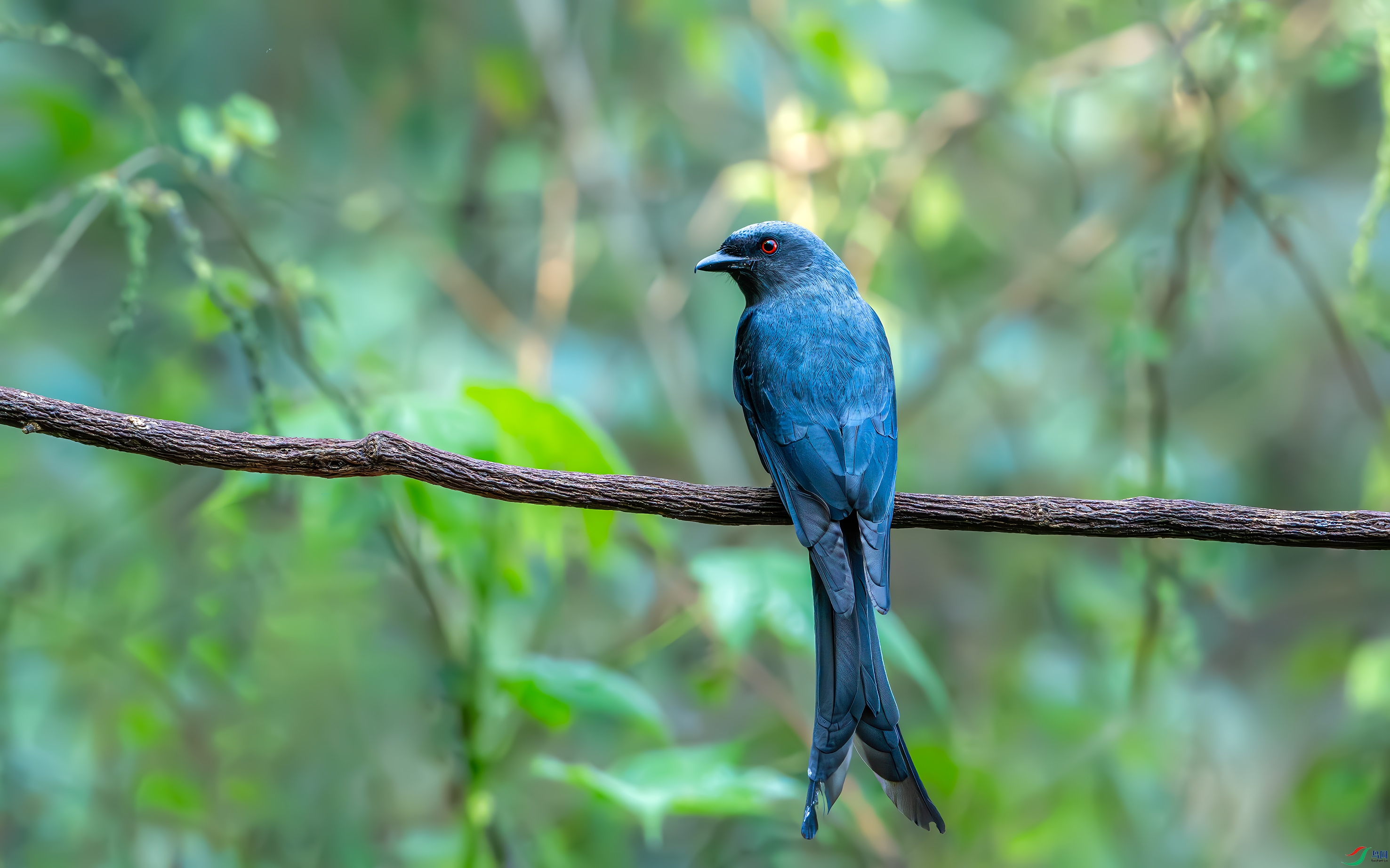 DSC_0162.jpg