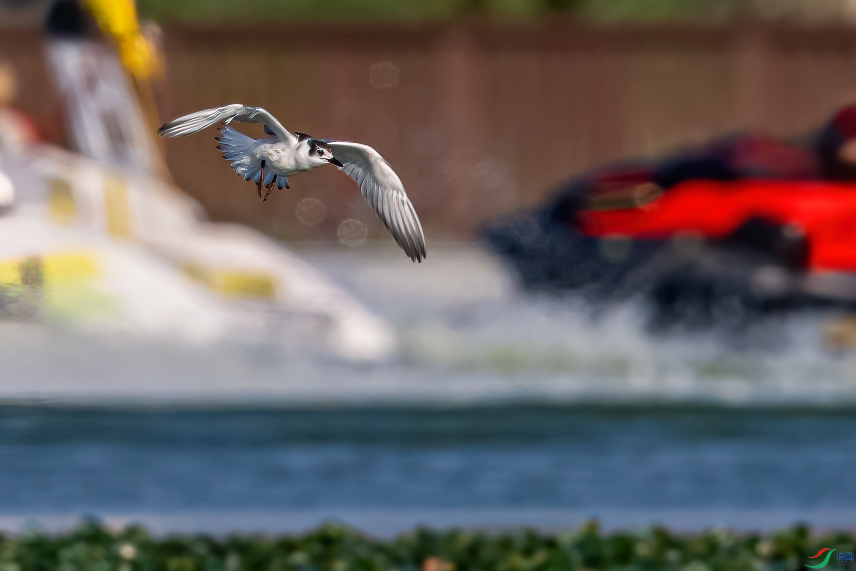 DSC_1397-21.jpg